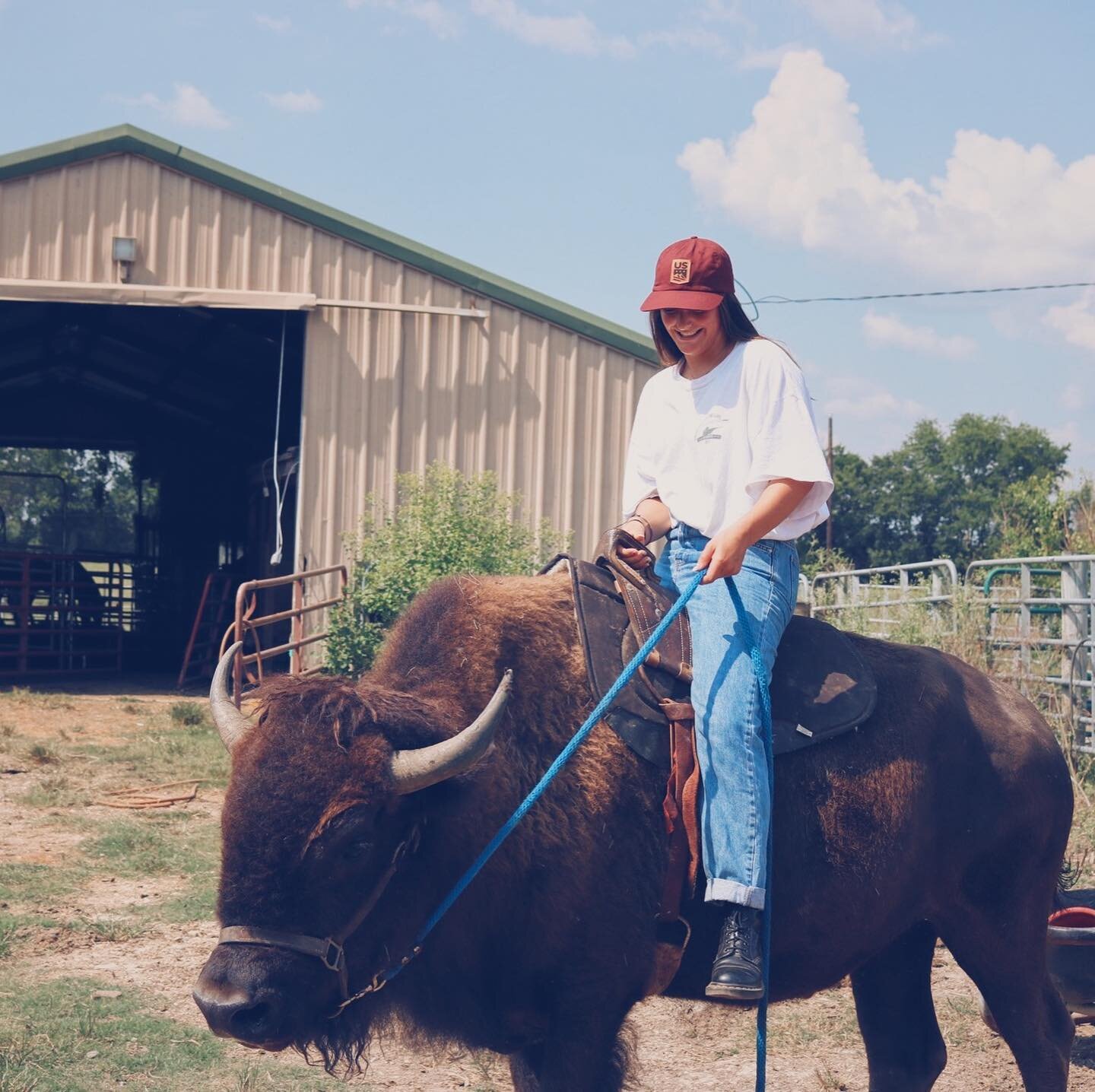 I&rsquo;m actually a professional buffalo rider. This is one of the buffalos from @yellowstone such a little cutie 🐴🏇🏼

Had such a fun day getting out of my comfort zone and trying some new things!!!! 

#horse #buffalo #yellowstone #riding #farm #