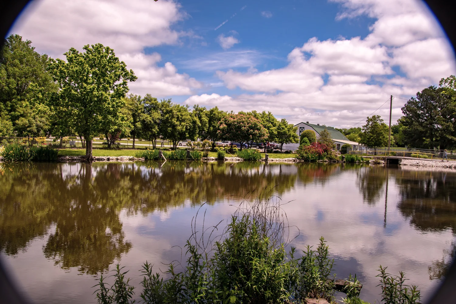 Garden City Nursery in Bentonville, AR