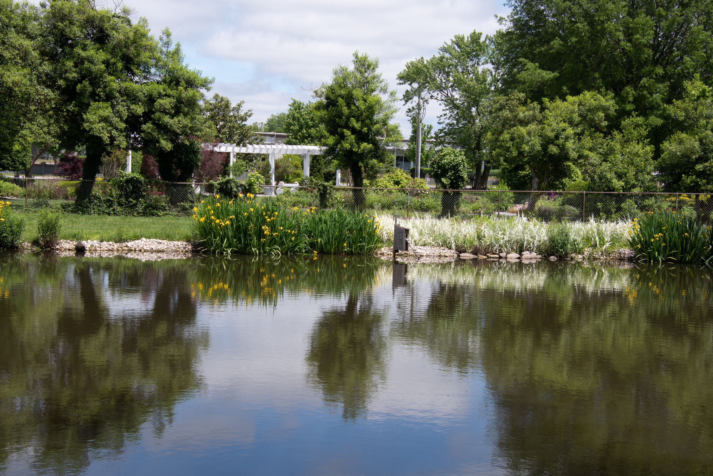 Garden City Nursery In Bentonville Ar