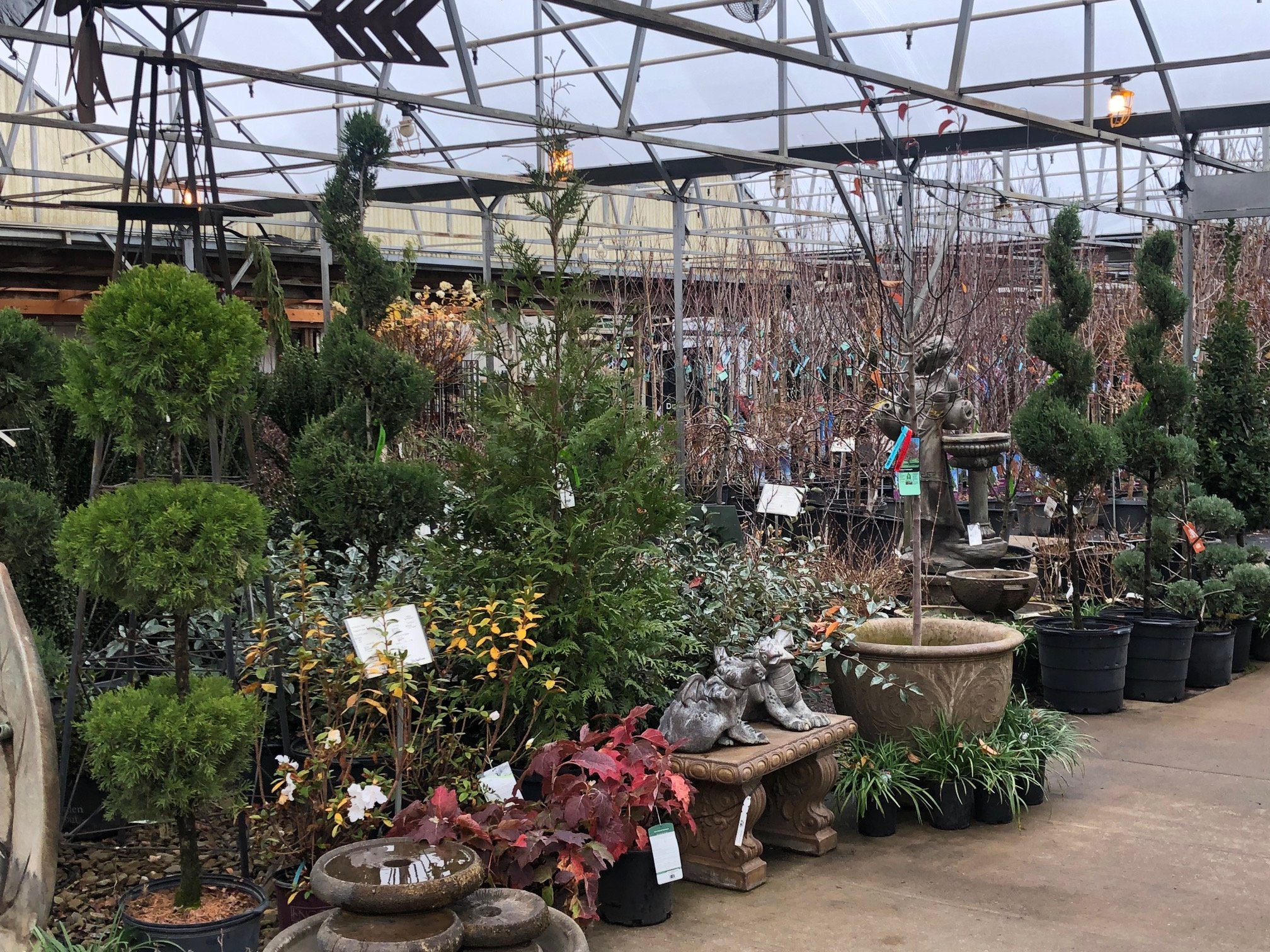 Garden City Nursery In Bentonville Ar