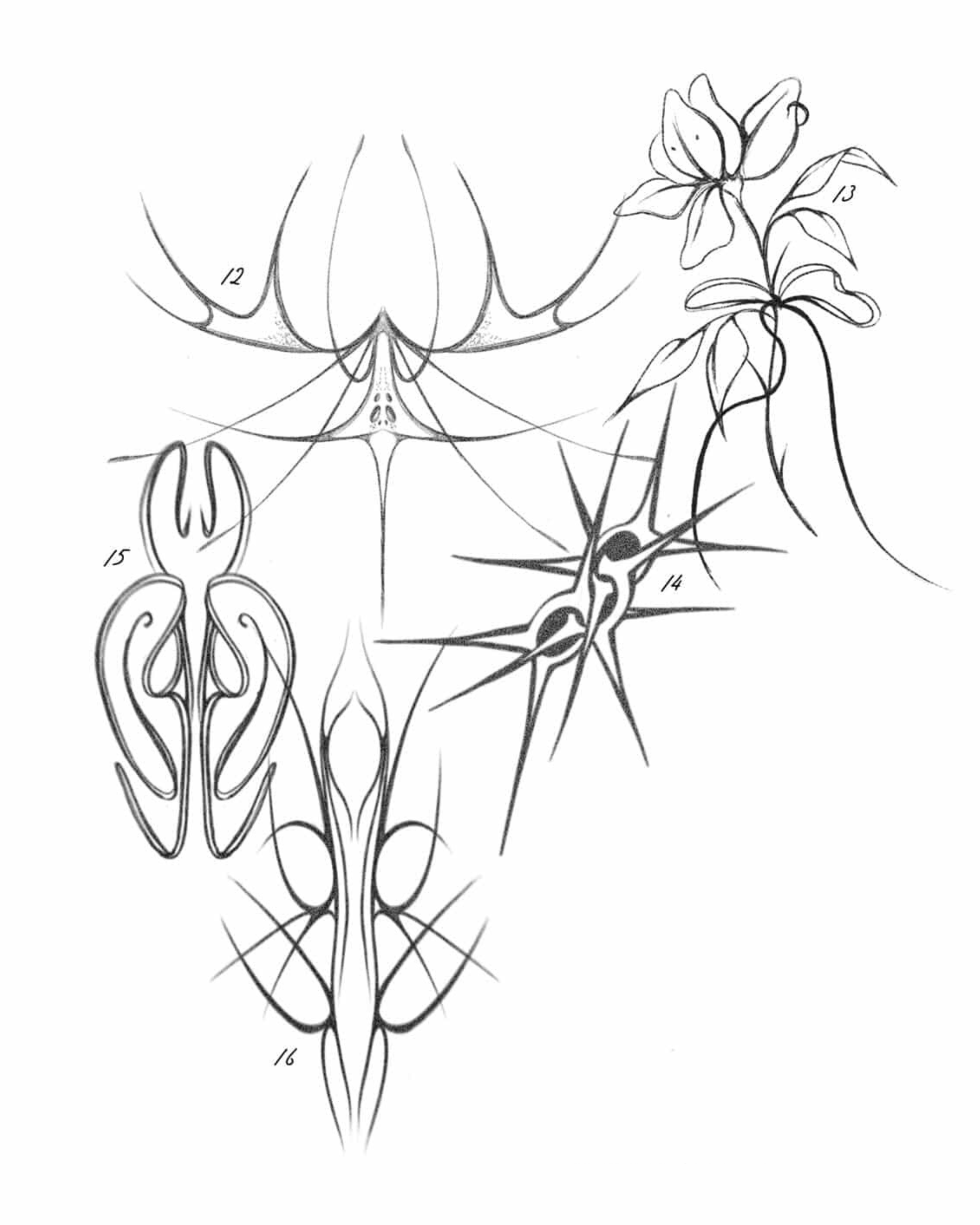 Gothic Blossom