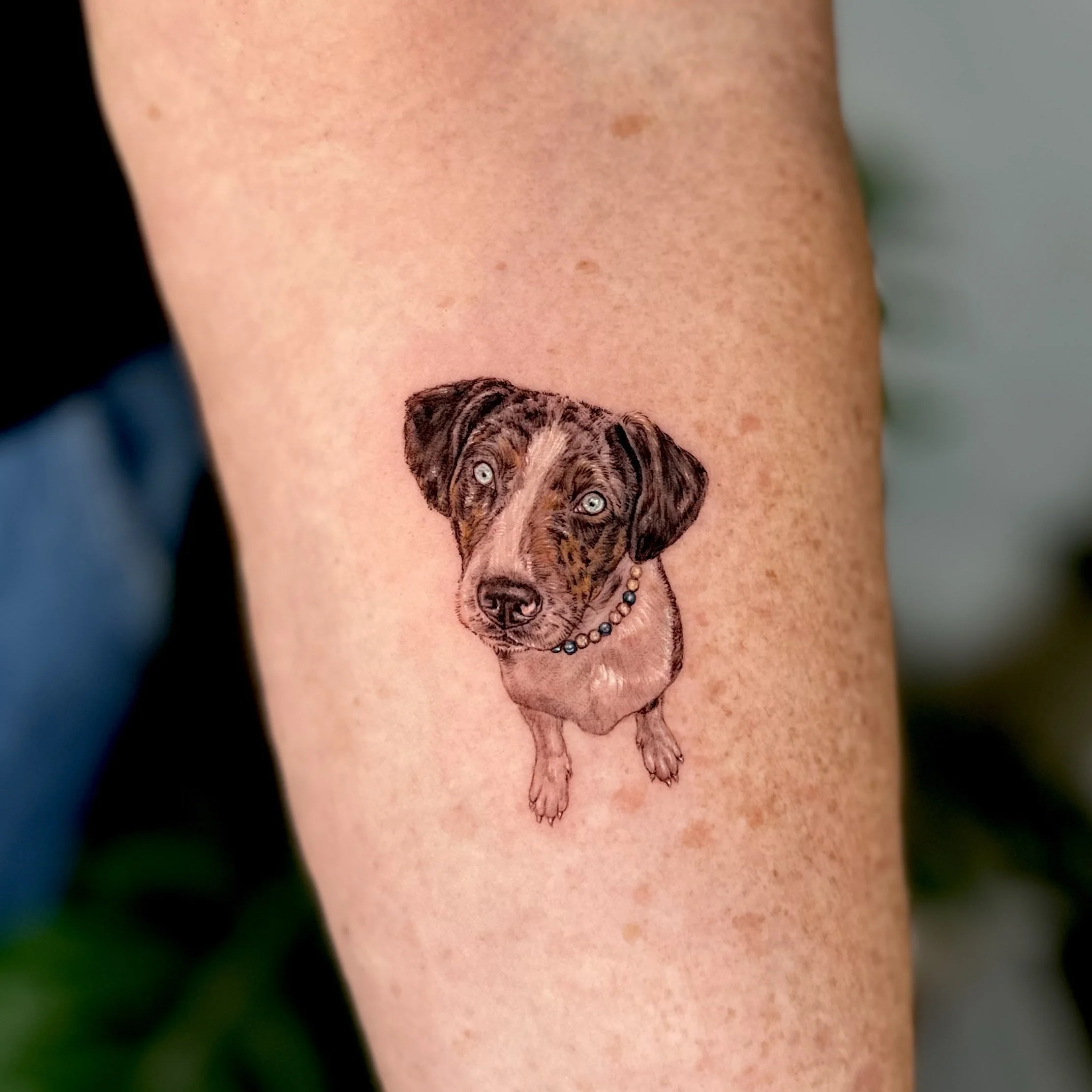 Tattoo of a realistic dog with a brown and black coat, wearing a beaded necklace, on a person's arm.
