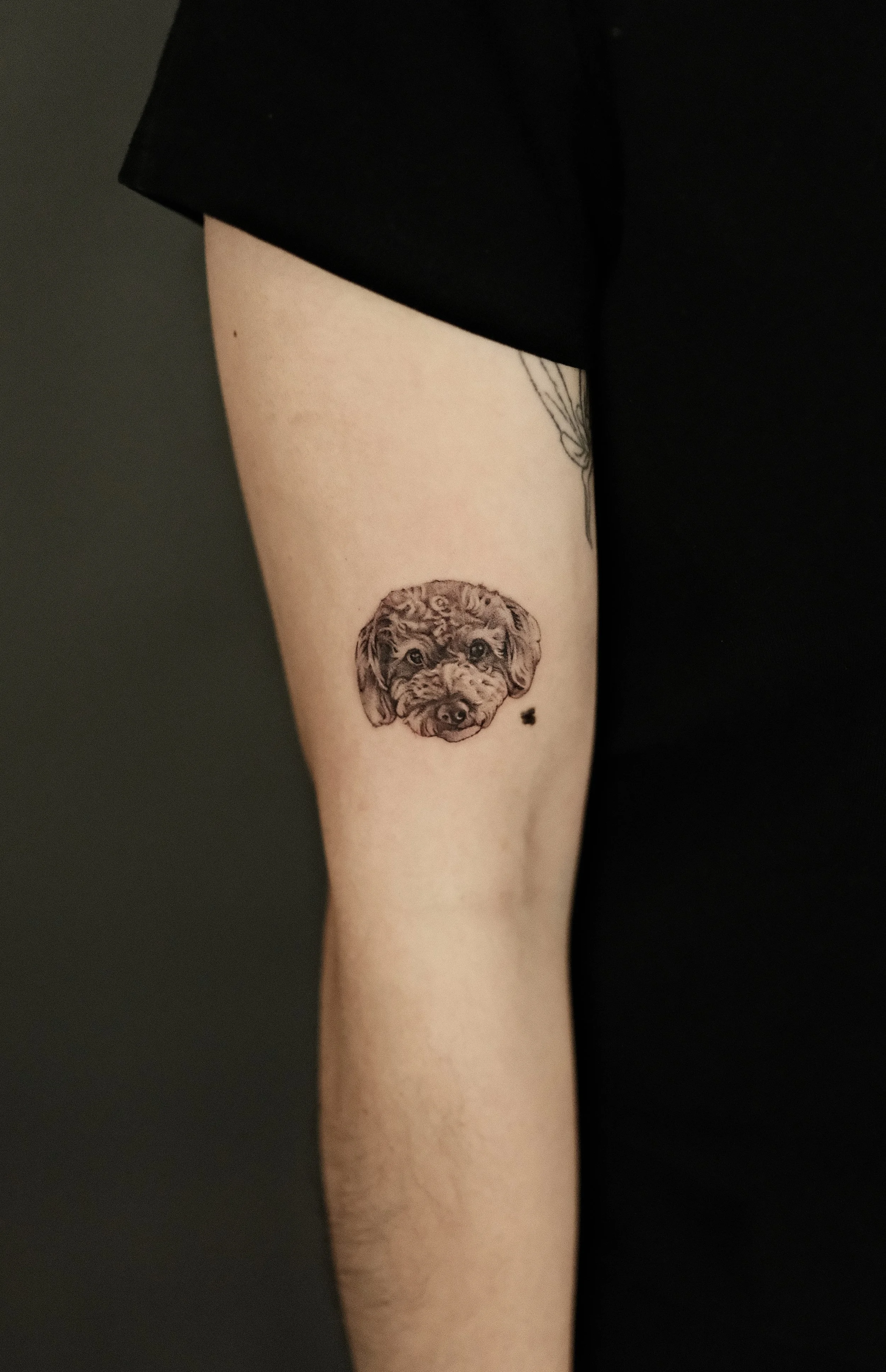 Tattoo of a dog's face on a person's upper arm