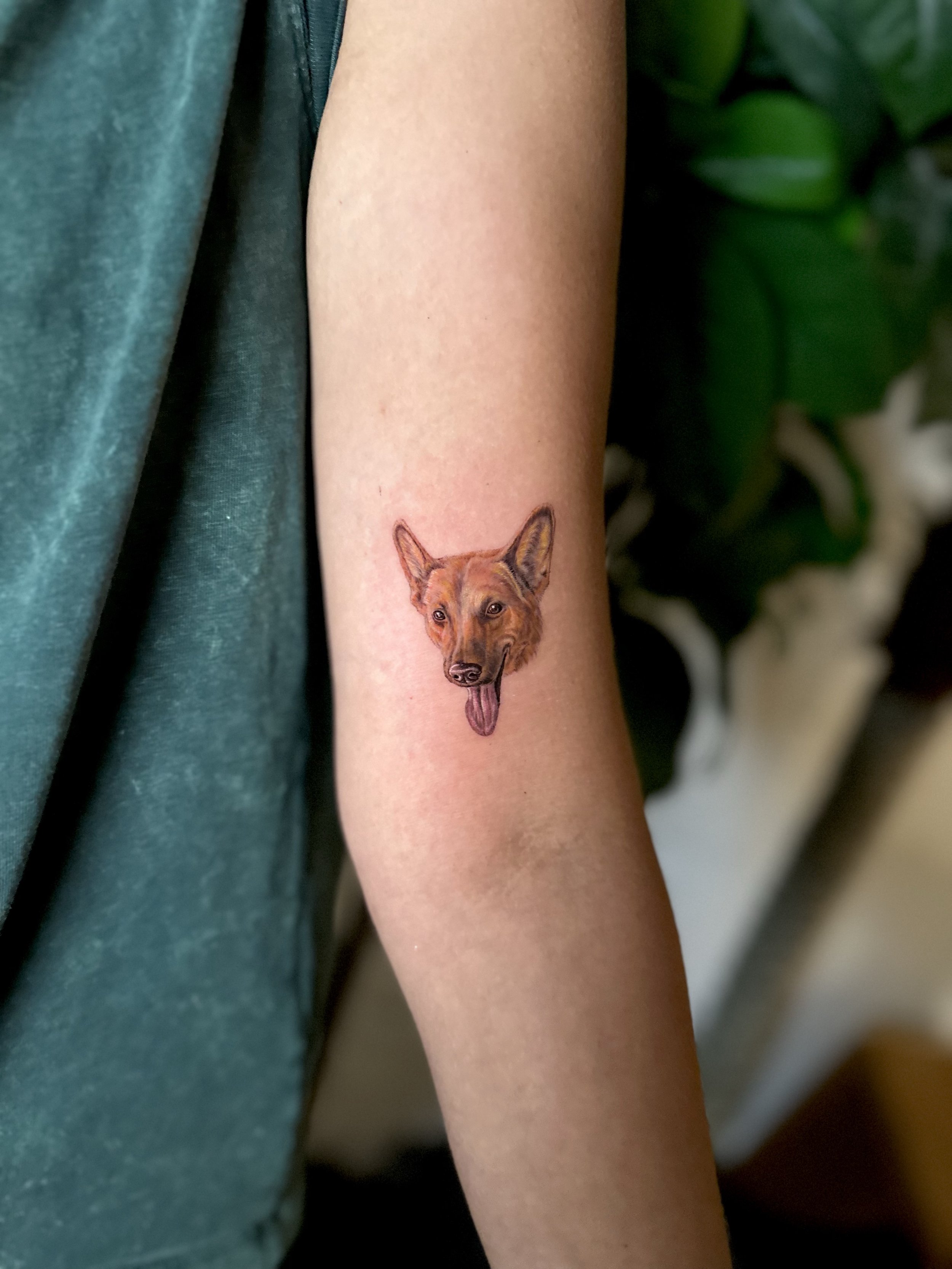 KakaoTalk_Photo_2025-08-02-11-57-39 003.jpeg