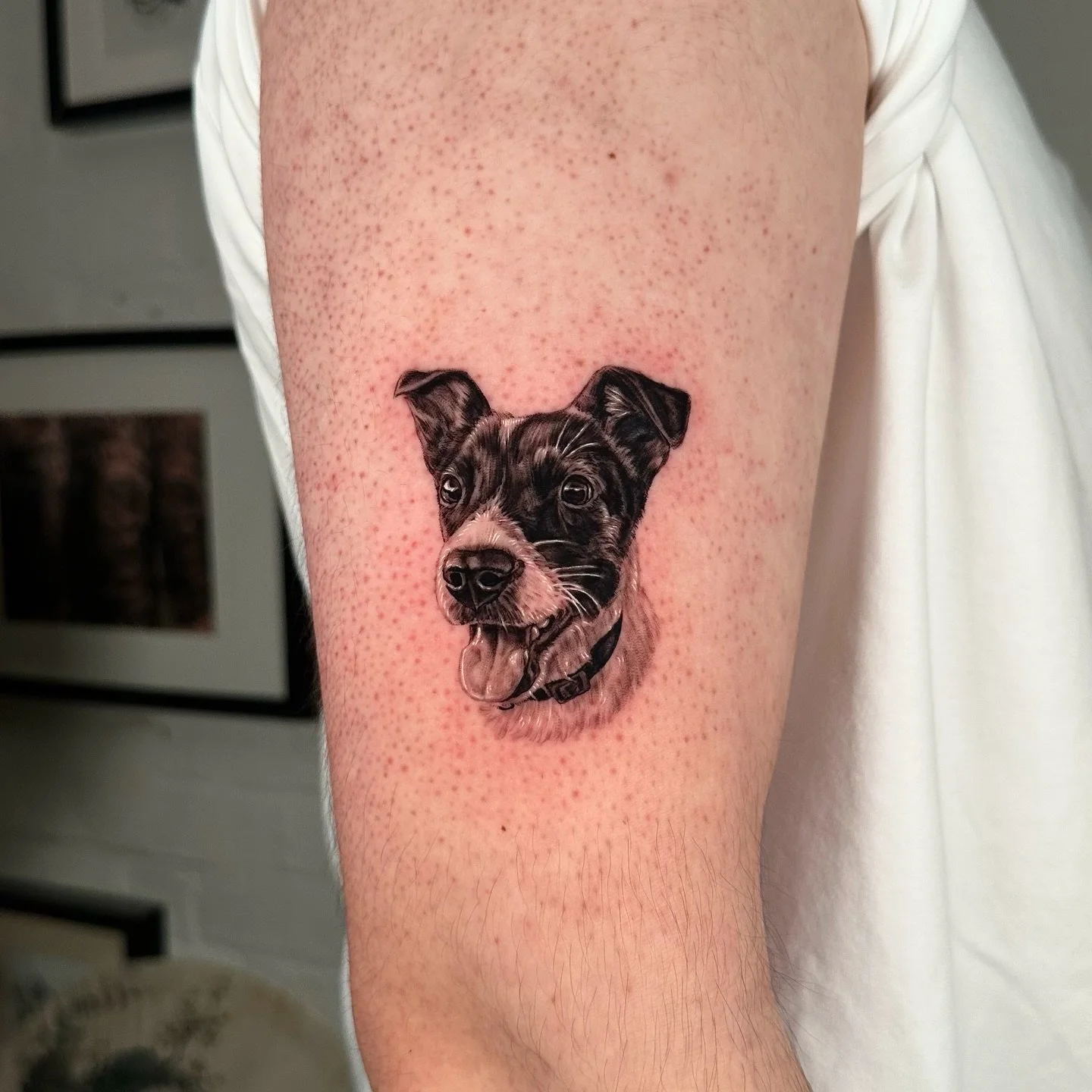 The details are in the fur. ✨

From the sparkle in their eyes to the softest texture, Iwon creates the most realistic animal tattoos in Toronto. Whether it&rsquo;s your first pet or a lifelong companion, we treat every portrait with the care it deser