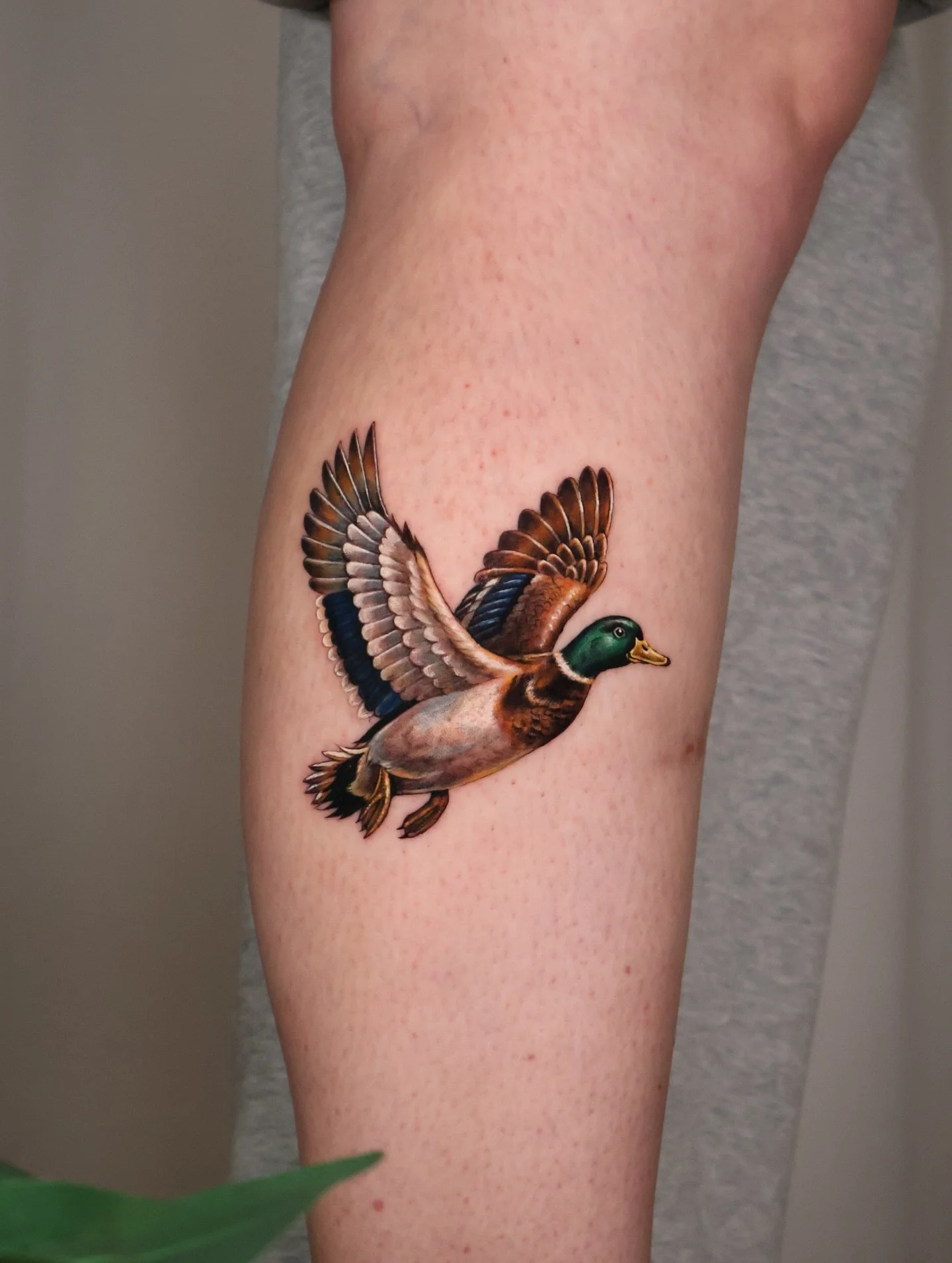 🎨Meet Pida, a leading micro realism tattoo artist in Toronto and part of the Tattoo People team. @pida_tattoopeople 

Specializing in micro realism tattoos, detailed realism, and fine detail work, Pida creates miniature realistic tattoos that feel s