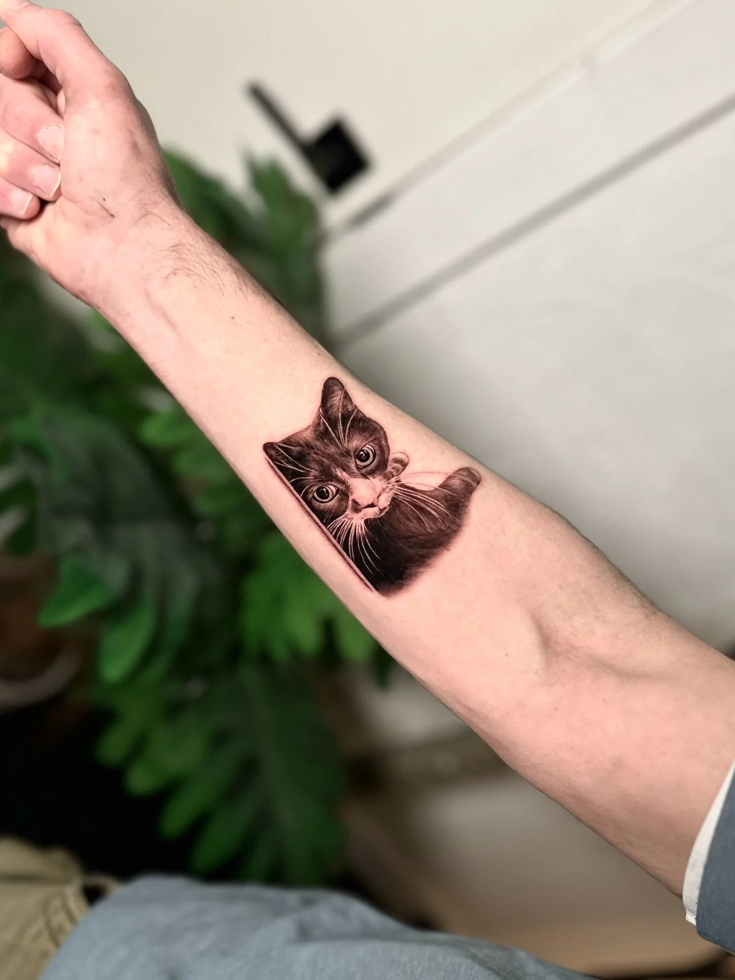 🐾 Some tattoos are more than portraits &mdash; they&rsquo;re a way to hold onto what matters.

Iwon is a skilled pet portrait tattoo artist in Toronto, known for creating realistic animal tattoos and lifelike pet portraits that feel personal and las