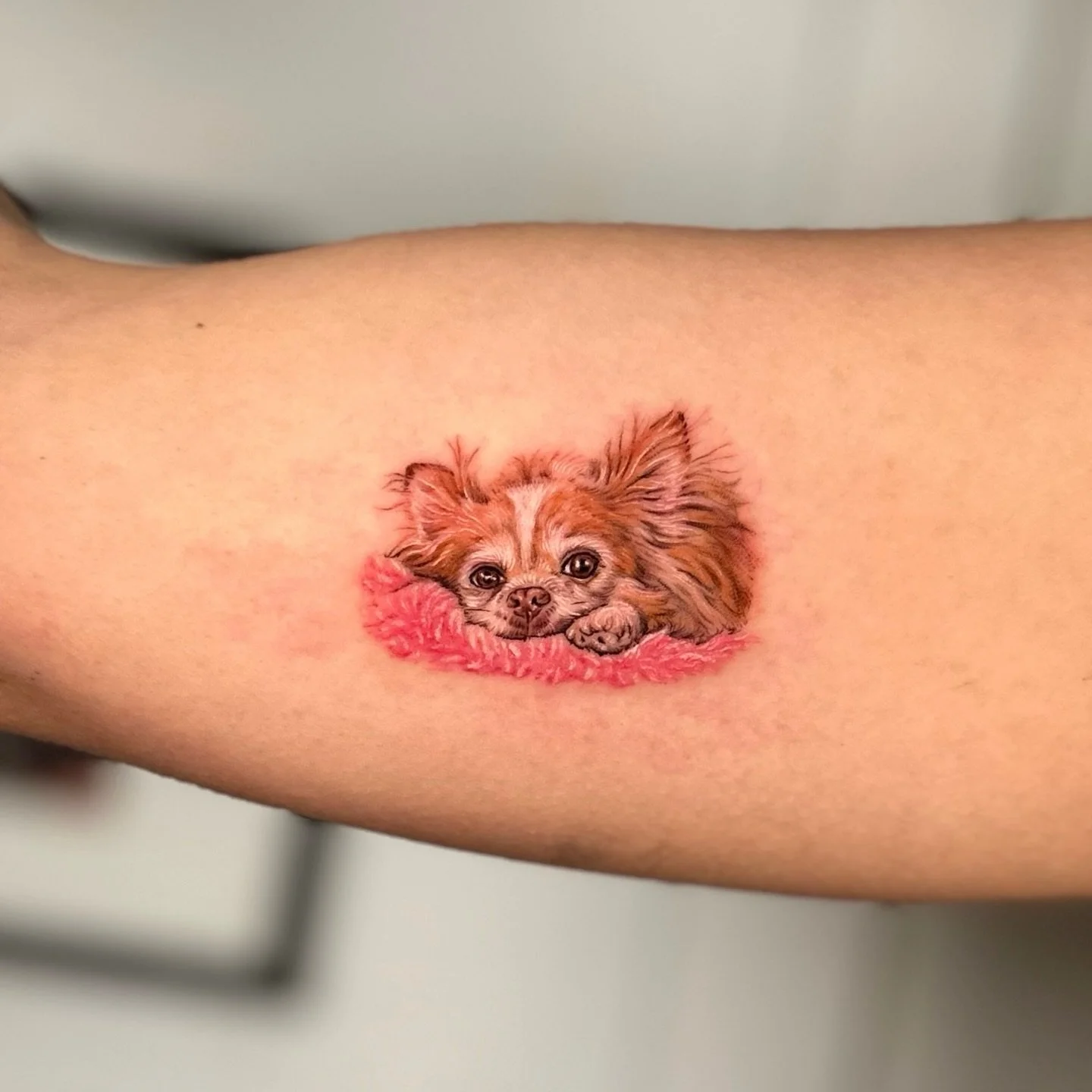 A tribute that stays with you forever. 🤍

A pet portrait is more than just ink&mdash;it&rsquo;s a story of companionship. Iwon specializes in lifelike pet portraits here in Toronto, capturing every unique expression and tiny detail that makes your f