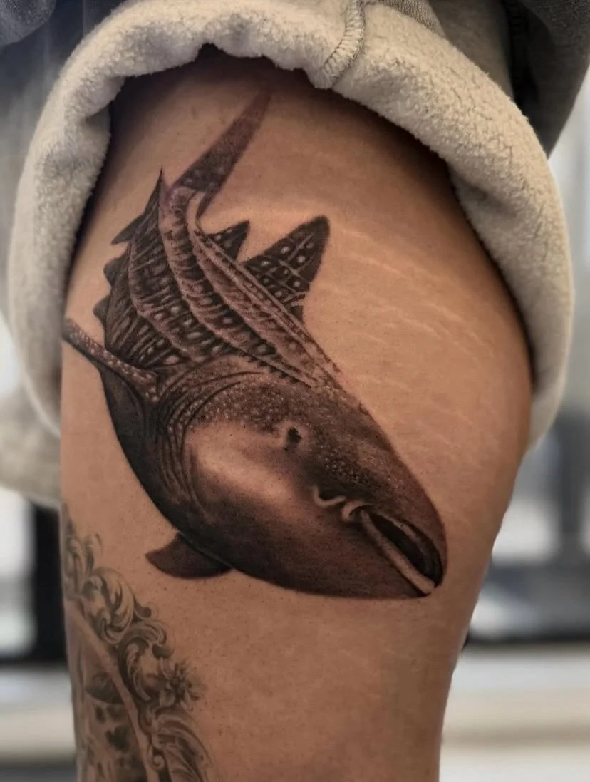 Meet the Artist: Ronald 🎨

If you&rsquo;re looking for vibrant, high-contrast pieces that pop, look no further. We are so excited to highlight Ronald, our resident expert in all things bold and bright!

Ronald is an incredible illustrative tattoo ar