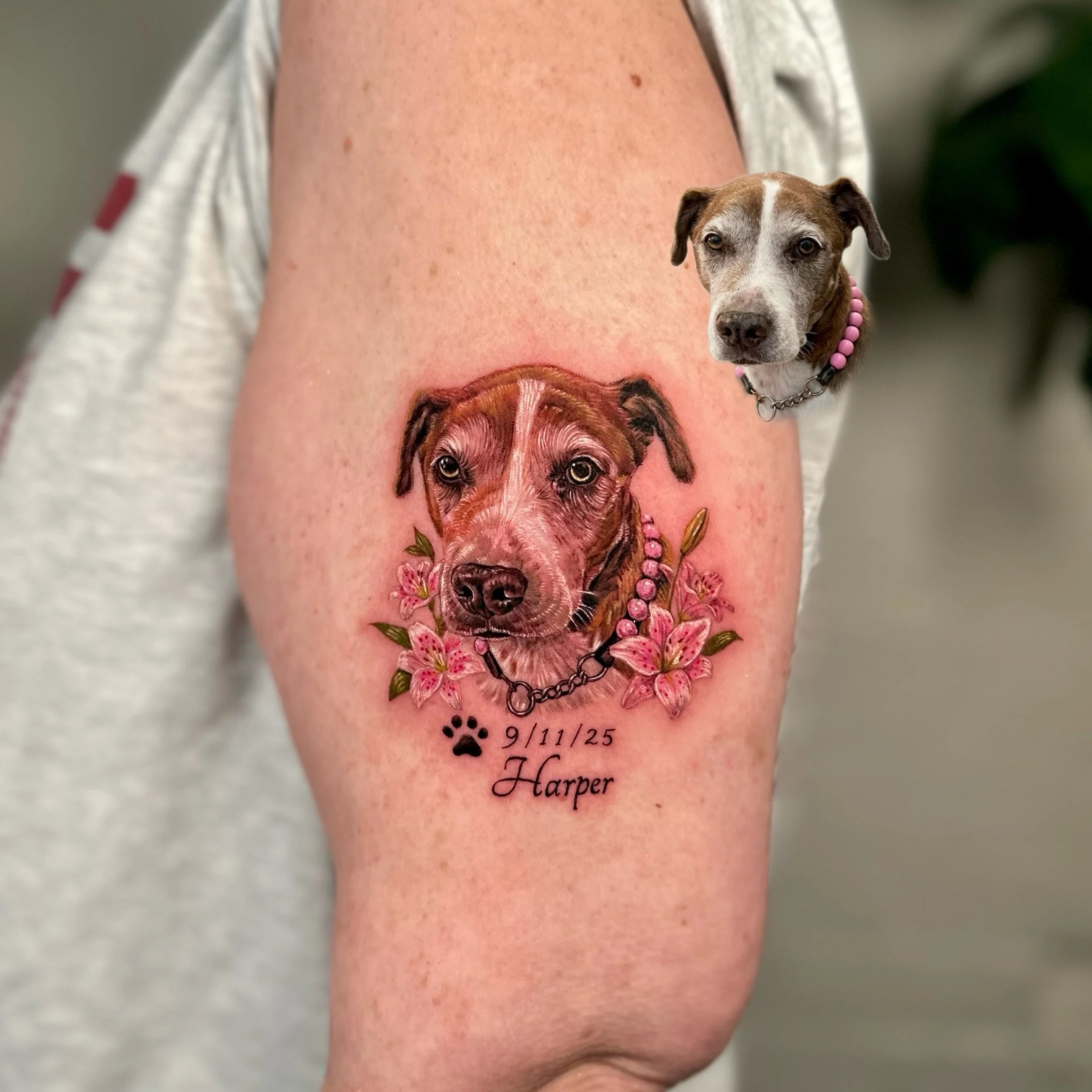 A tribute that stays with you forever. 🤍

A pet portrait is more than just ink&mdash;it&rsquo;s a story of companionship. Iwon specializes in lifelike pet portraits here in Toronto, capturing every unique expression and tiny detail that makes your f