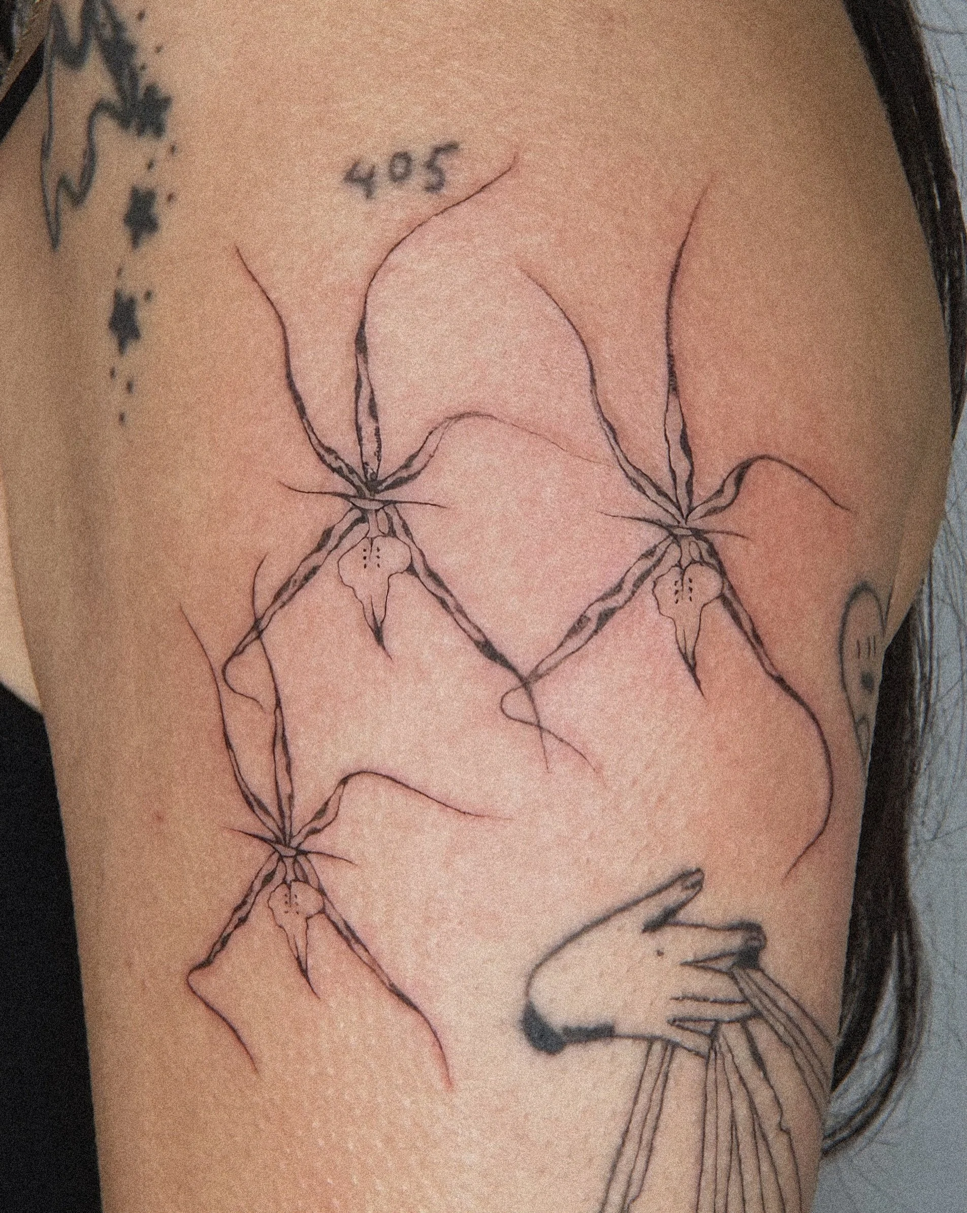 Looking for the top fine line tattoo artist in Toronto? 🌿✨
Experience the power of delicate grace and technical perfection with Lia.

@softnatured_tattoopeople 

Specializing in organic fineline tattoos and illustrative tattoos in Toronto, Lia&rsquo