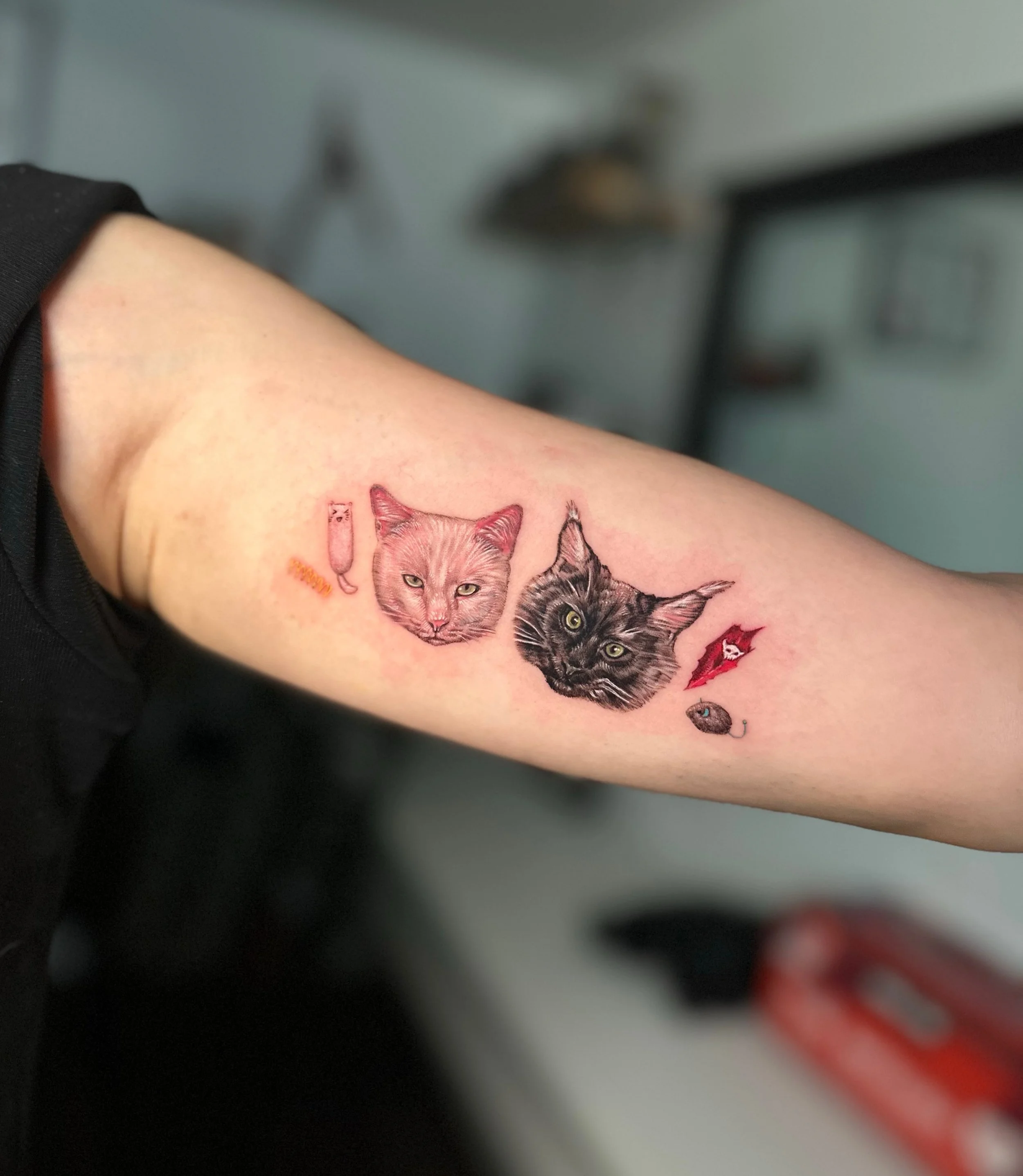 Forever isn&rsquo;t long enough, but it&rsquo;s a start. 🤍

@iwon_tattoopeople 

Capturing a pet&rsquo;s personality requires more than just technique; it takes an eye for the tiny details that make them yours. 

Iwon specializes in high-detail pet 