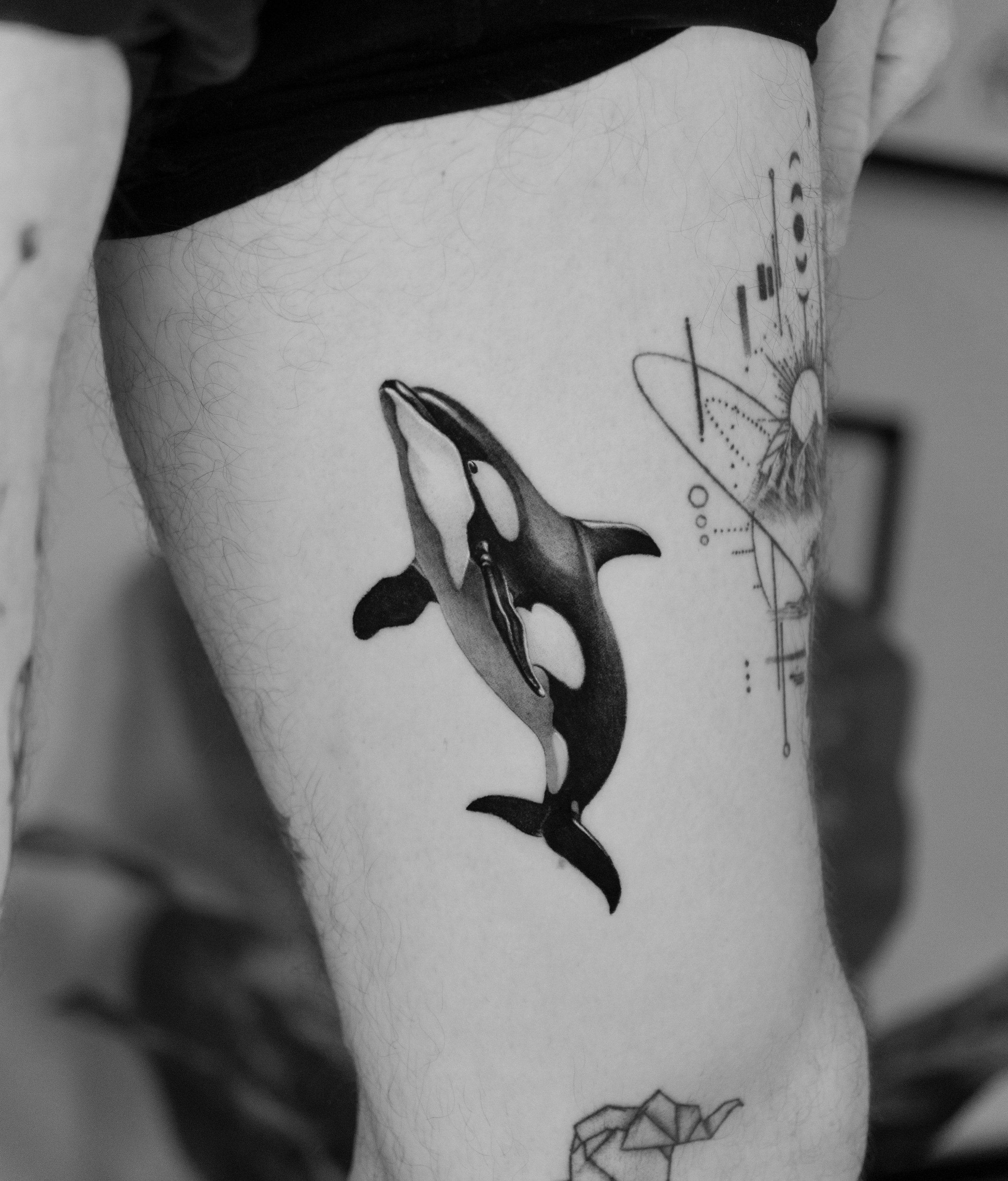 Tattoo of orca whale on person's upper arm in black and gray.