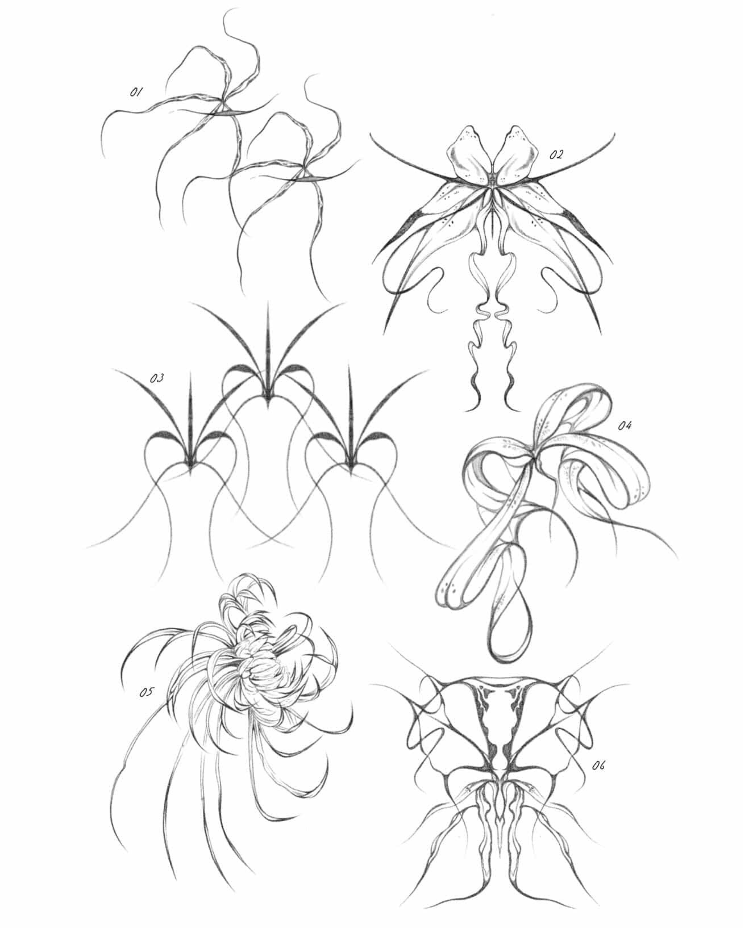 Lace & Thorns