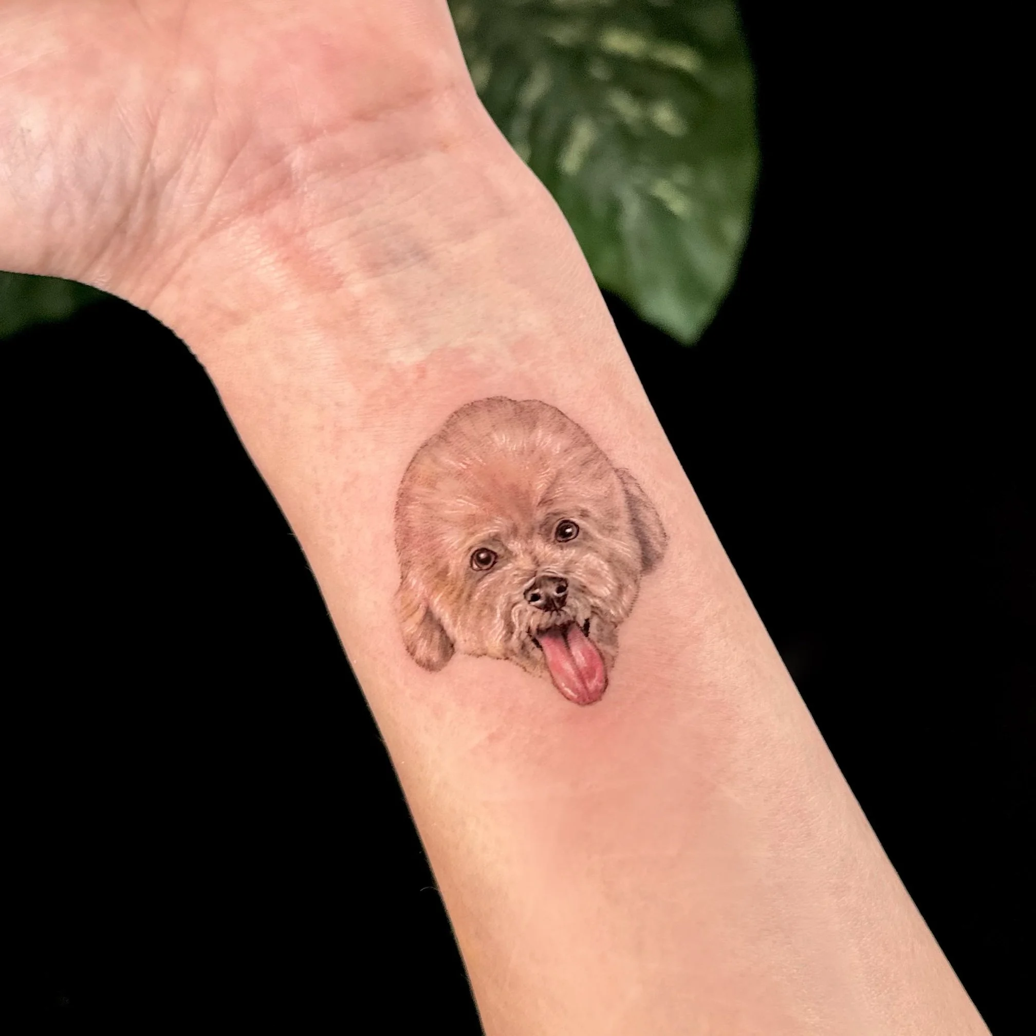 Tattoo of a cute dog with its tongue out on a person's inner forearm.