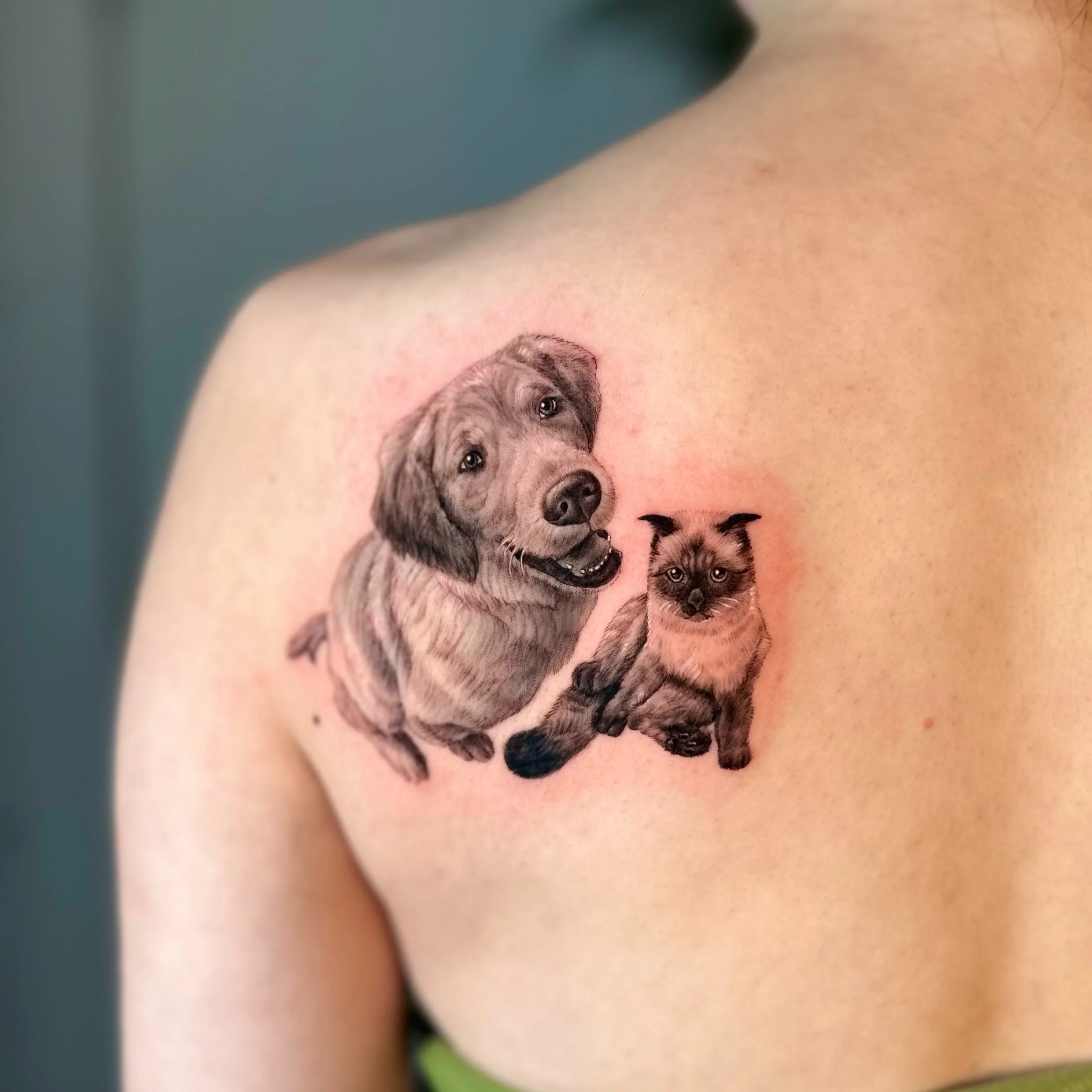 Tattoo of a realistic dog and cat on a person's shoulder, with the dog appearing happy and the cat serious.
