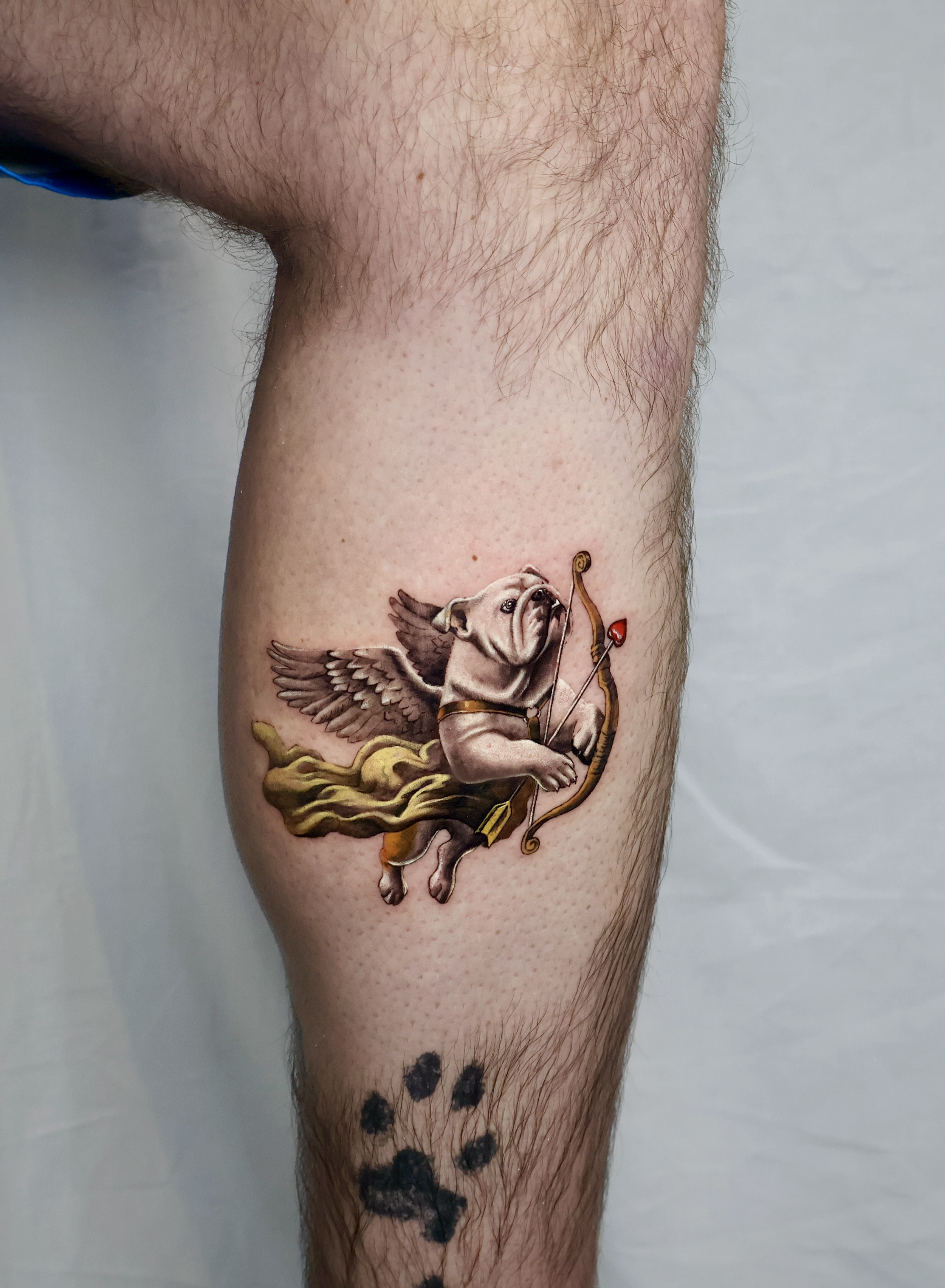 Tattoo of a flying bulldog with wings, holding a bow and arrow, on a person's thigh.