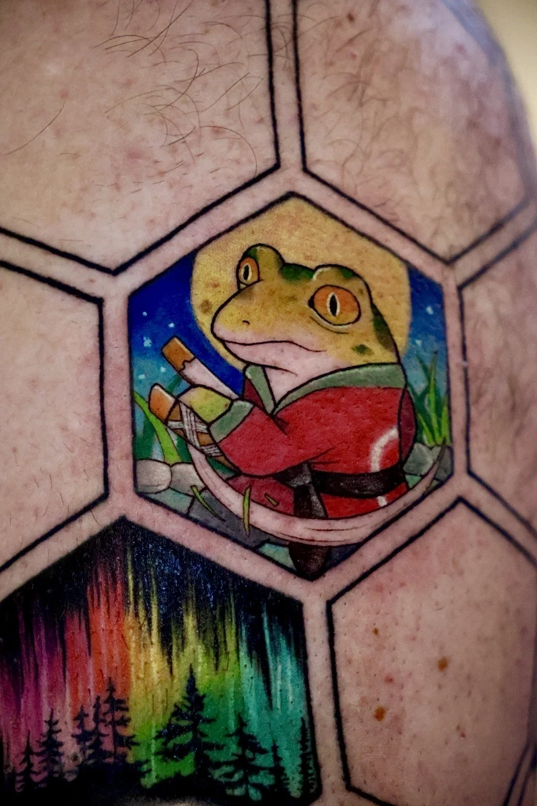 A tattoo featuring a cartoon frog dressed in a red jacket, holding a stick, set within a hexagon. Below this, there is an image of a colorful northern lights display with silhouette trees.