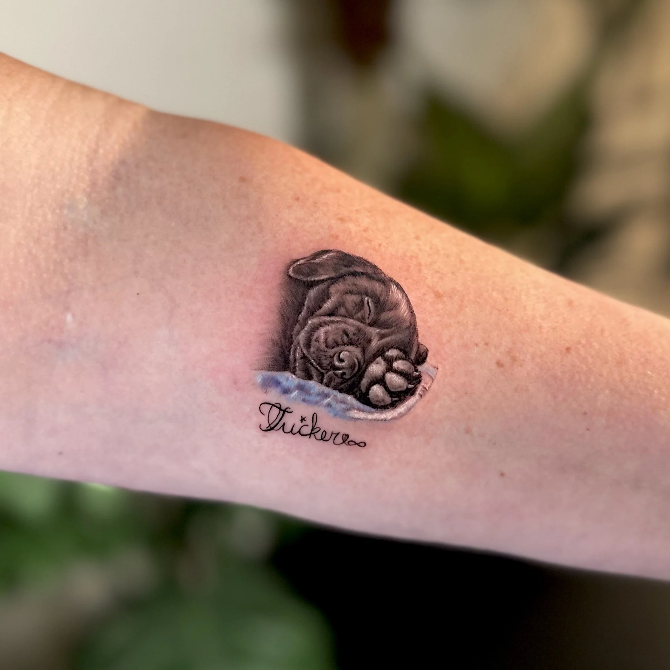 Tattoo of a sleeping puppy with the word 'Ducker' written below on a person's arm.