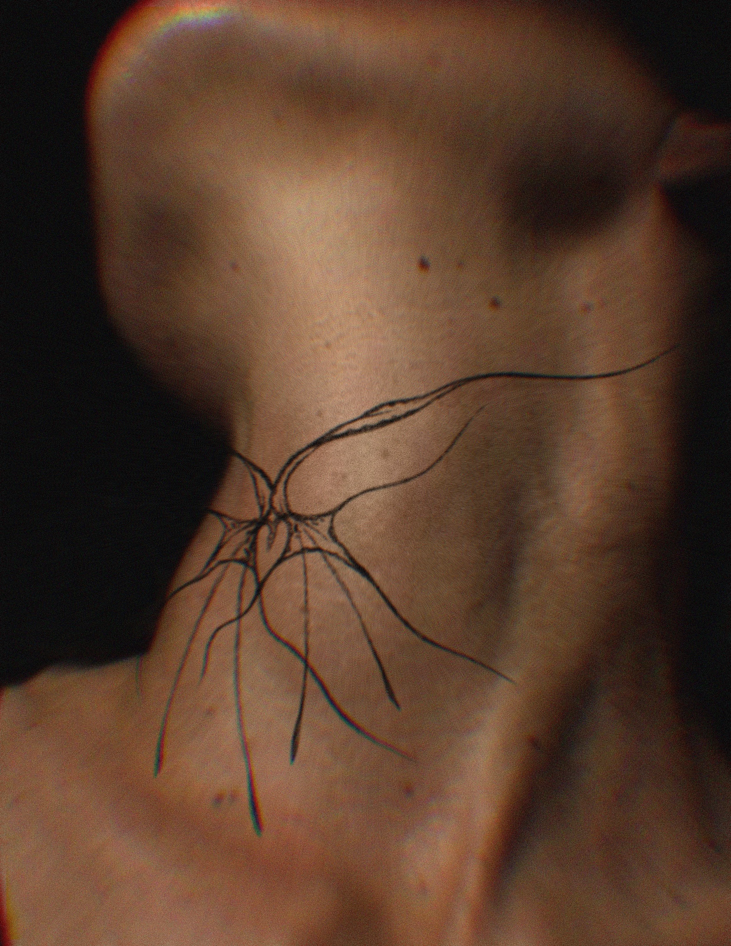 Rosethorn Series I