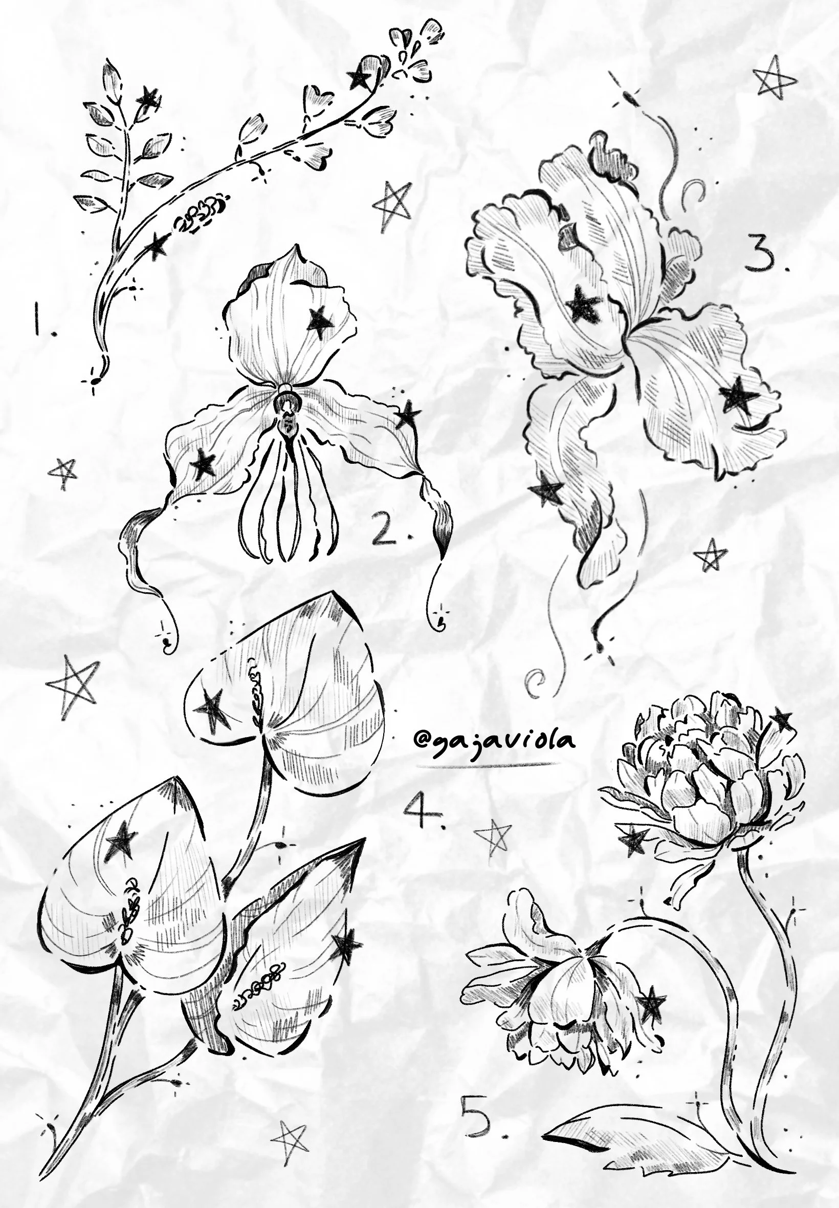 Doodle Dreams Series B