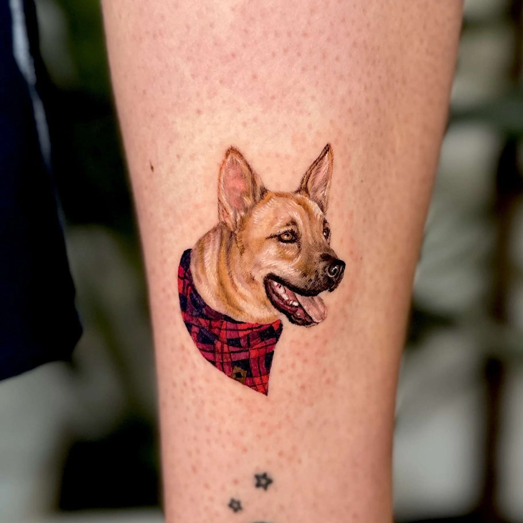 Tattoo of a smiling dog with pointed ears, wearing a red plaid bandana, on a person's arm.