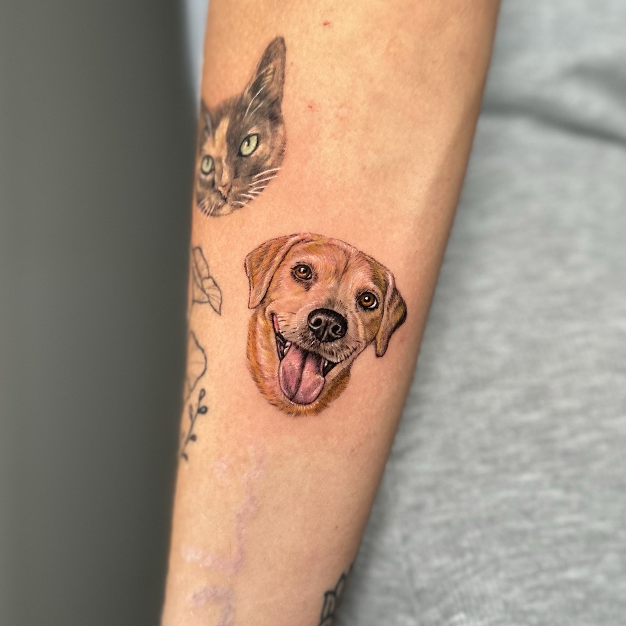 Tattoo of a happy, open-mouthed dog with a pink tongue, and a scalped, gray and brown tabby cat with green eyes on a person's arm.