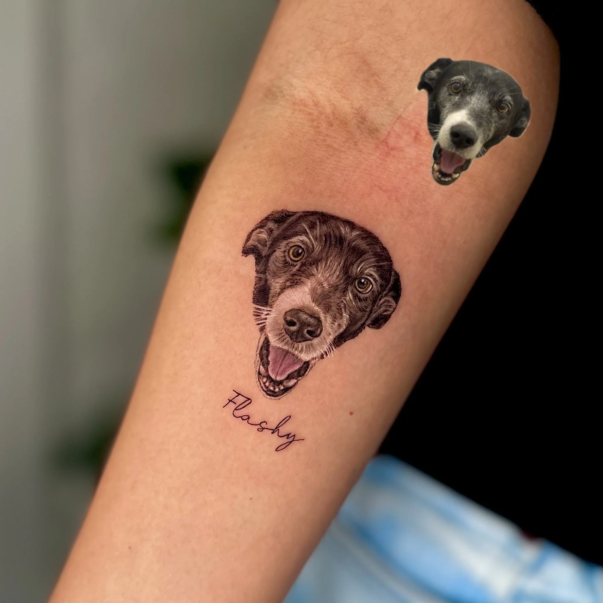 Tattoo of a happy dog face with the name 'Flashy' written below it on a person's arm.