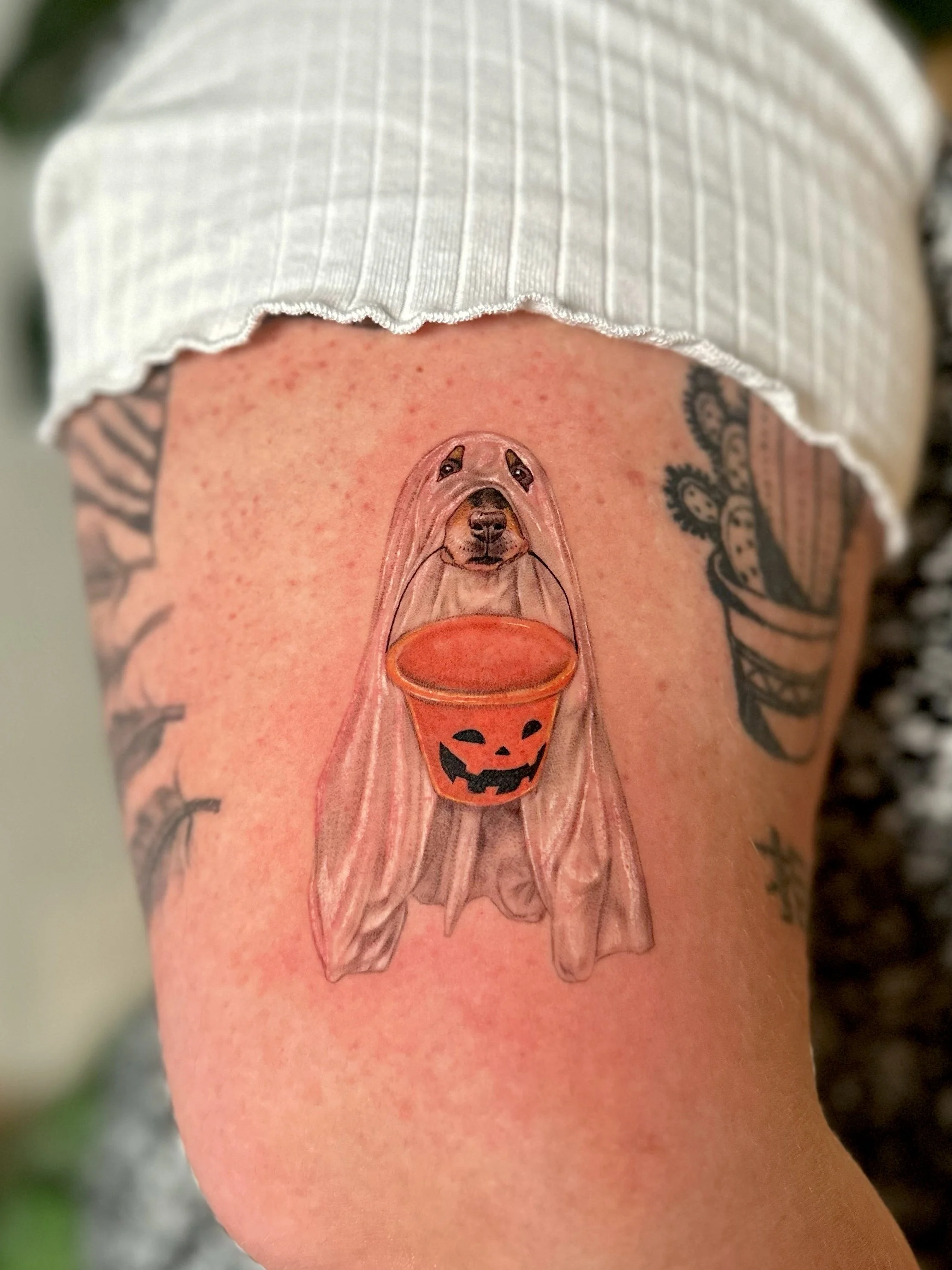 KakaoTalk_Photo_2025-12-13-16-43-38 012.jpeg