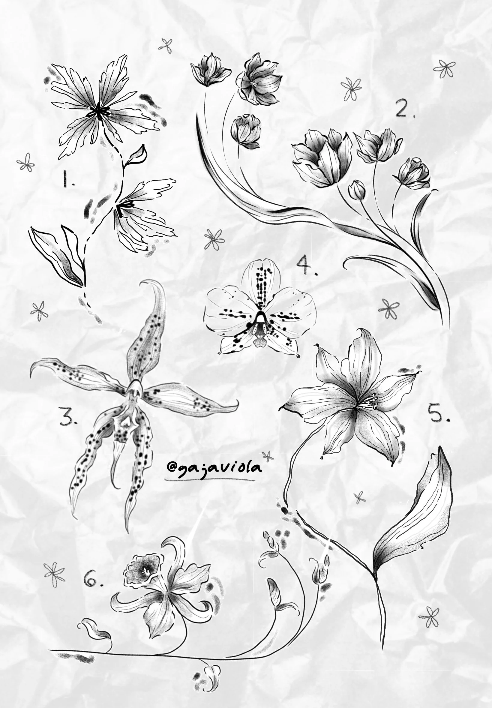 Doodle Dreams Series A