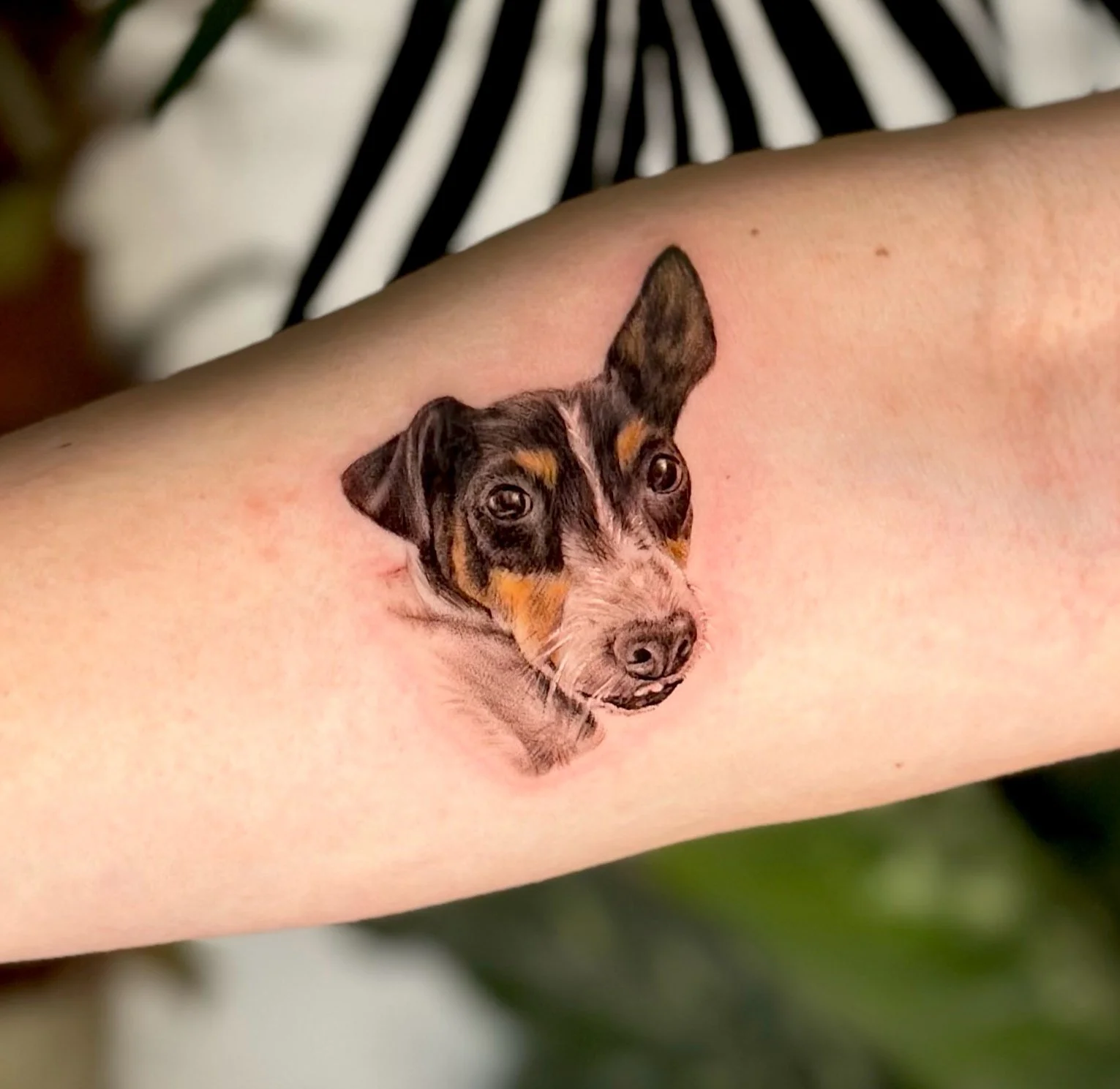 Tattoo of a realistic puppy face on a person's forearm.