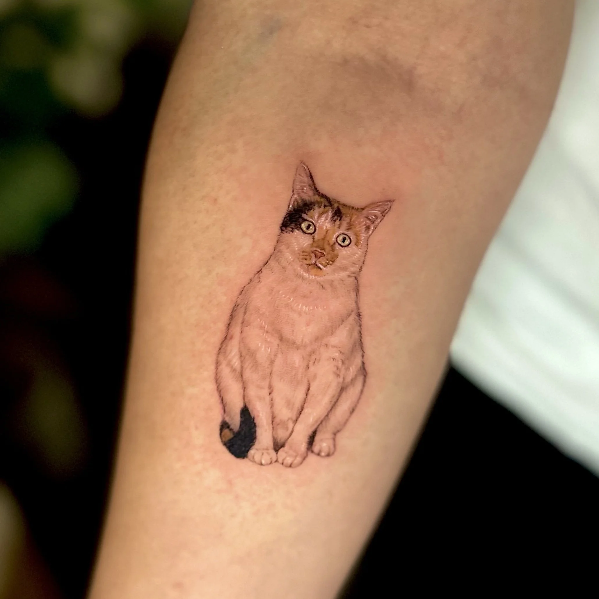 A tattoo of an orange and black cat on a person's arm.