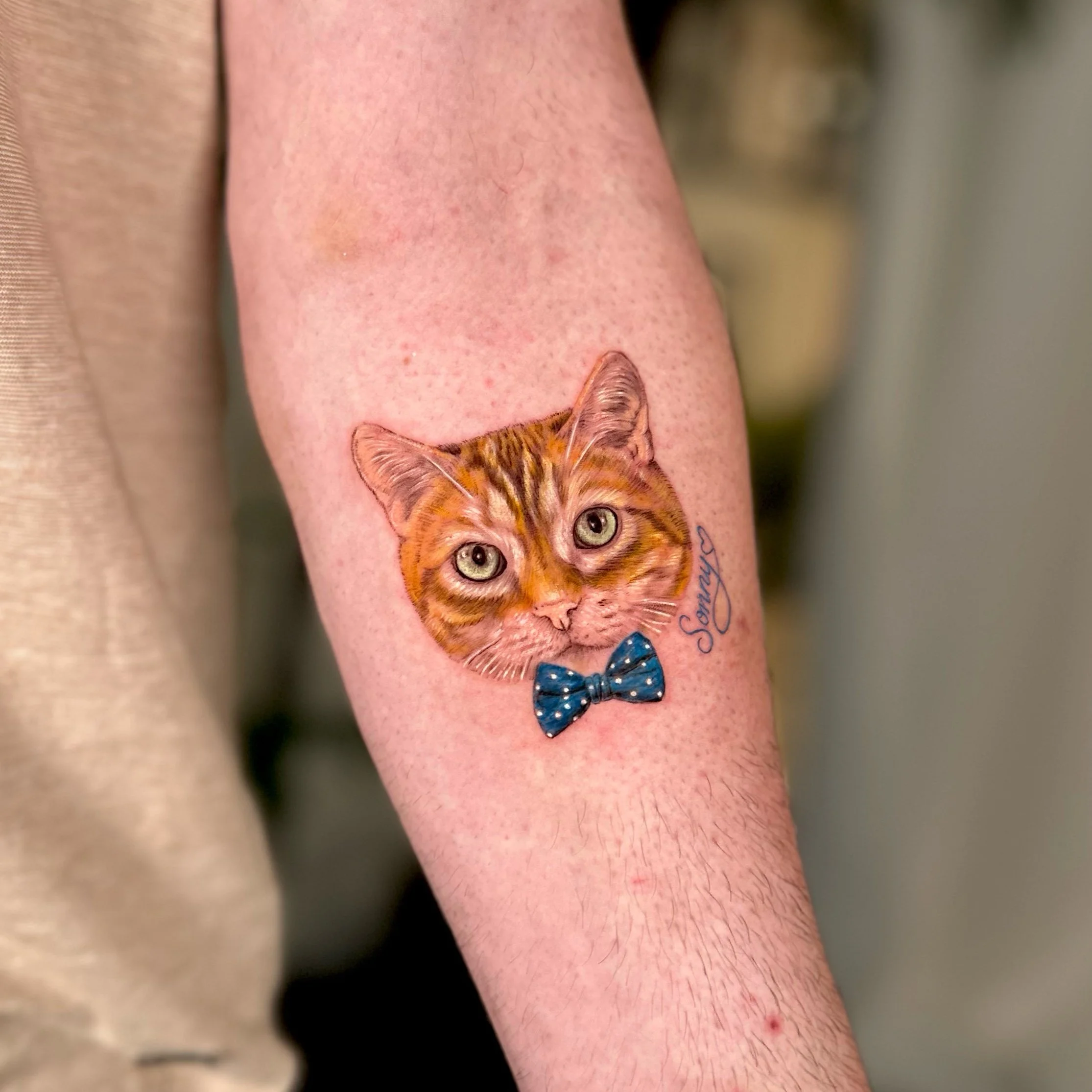 Colorful tattoo of a cat's face with a blue polka-dotted bow tie and the name 'Sonny' on a person's arm.