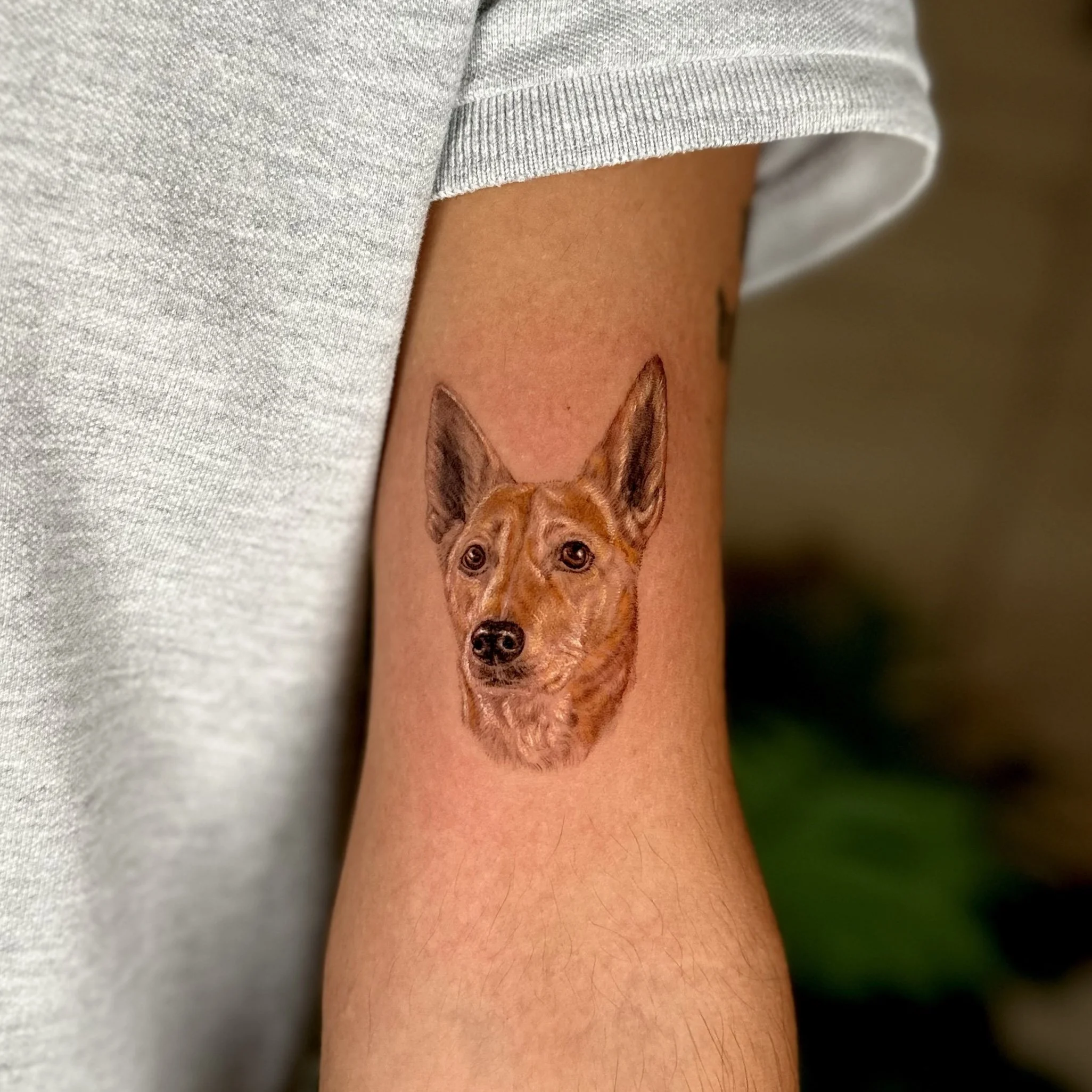 Tattoo of a realistic dog’s face on a person’s upper arm, with a gray sleeve partially covering the arm.
