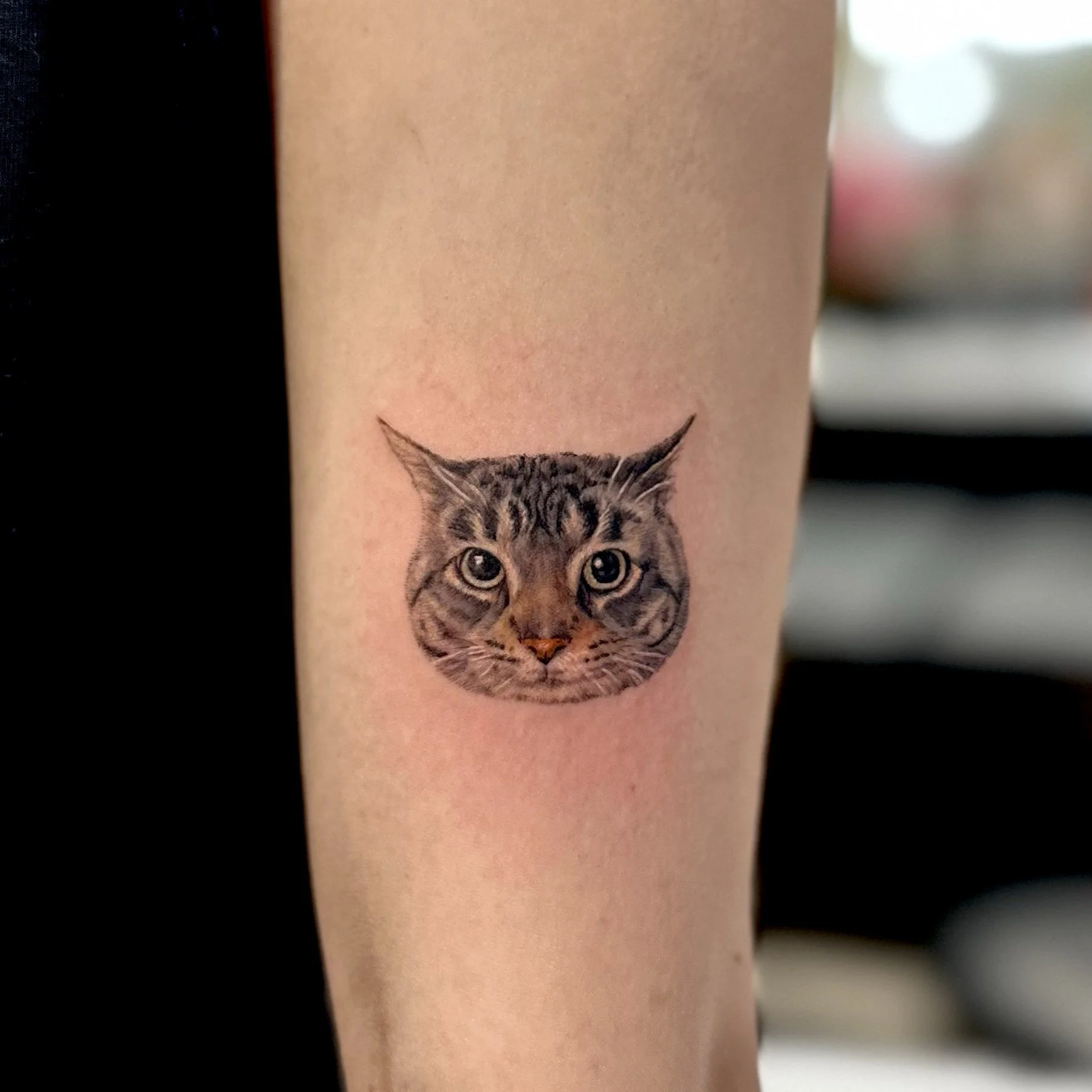 Tattoo of a realistic gray tabby cat's face on a person's forearm.