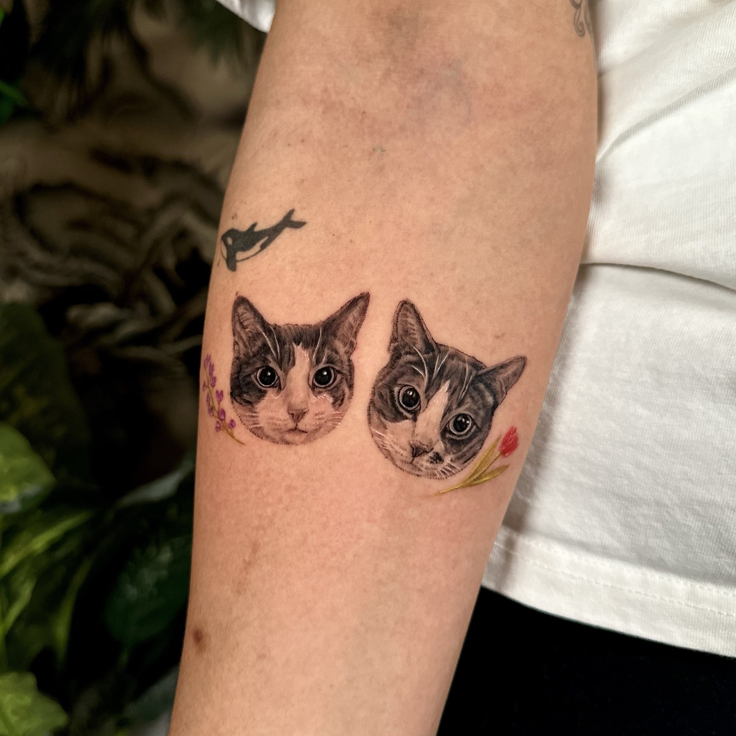 Tattoo of two realistic kitten faces on the person's arm, each surrounded by small flowers, with a small bird silhouette above.
