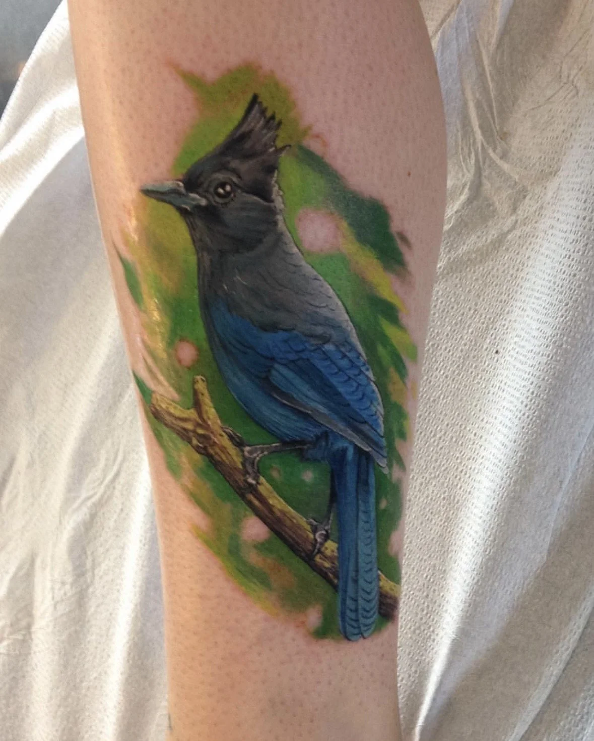 Colorful tattoo of a blue jay bird on person's arm, with a green and pink background.