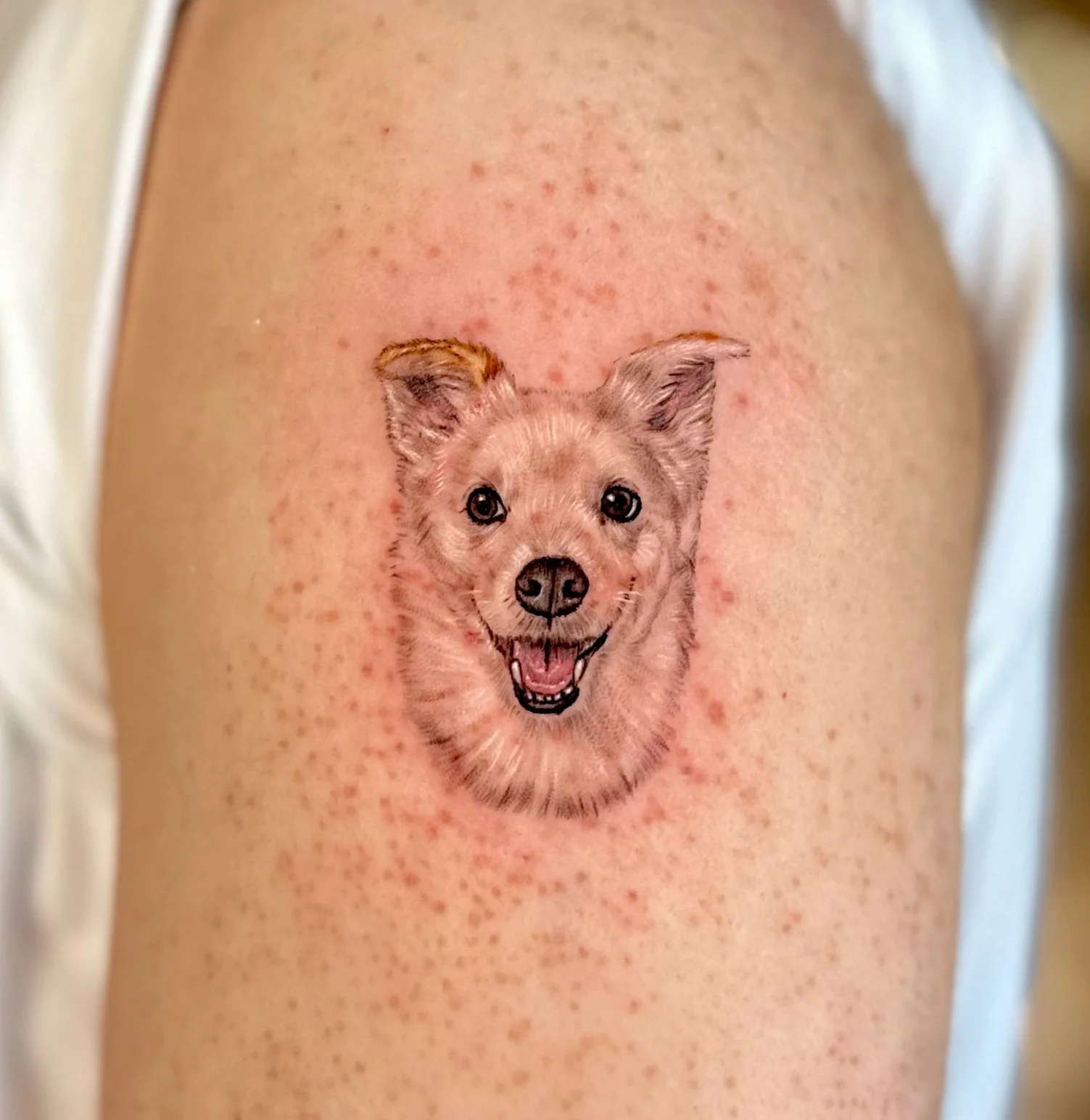 KakaoTalk_Photo_2025-12-13-16-43-28 010.jpeg