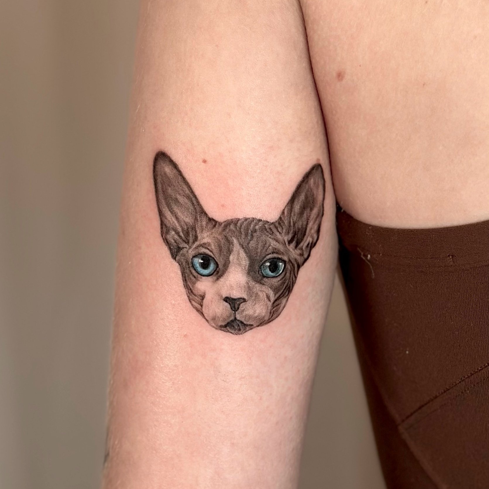 Tattoo of a dog's face with blue eyes on person's upper arm.