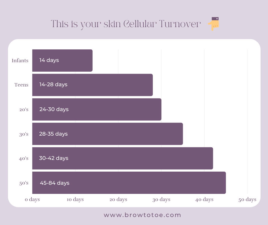 Cellular Turnover VS Exfoliation Which is better? — Brow To Toe