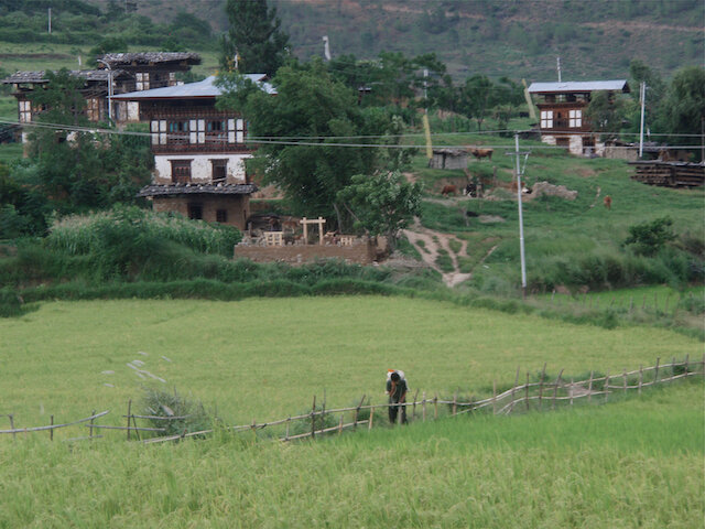 Youwakha Punakah Village - 27.jpeg