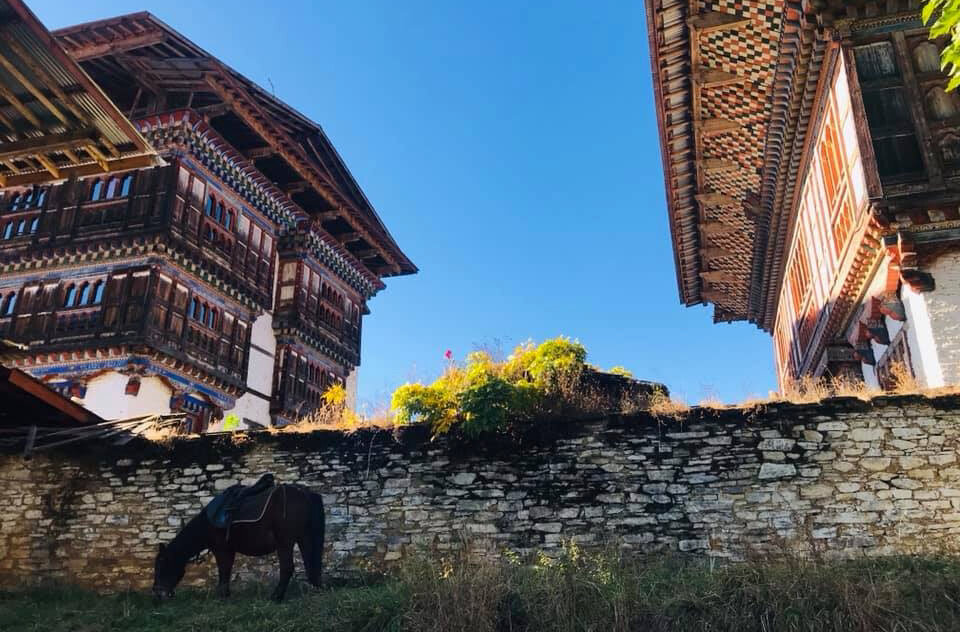 ogyen-choling-palace 7.jpeg