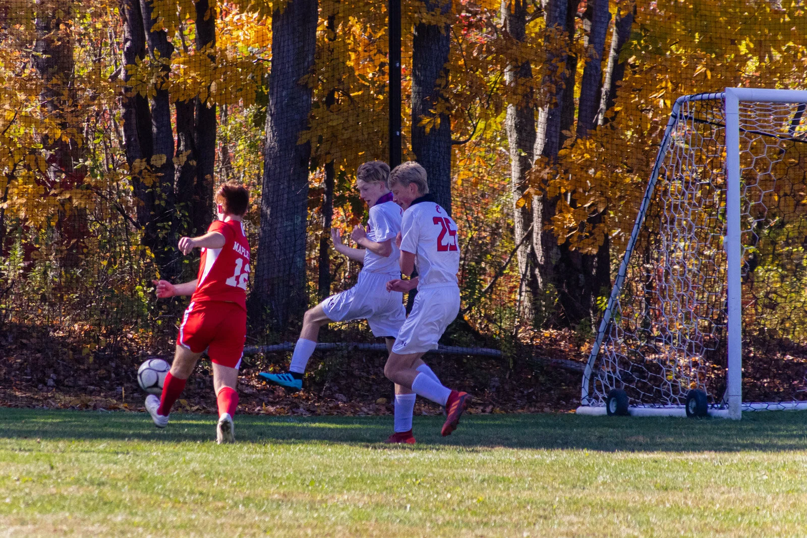 20201017-3Q8A5885.jpg