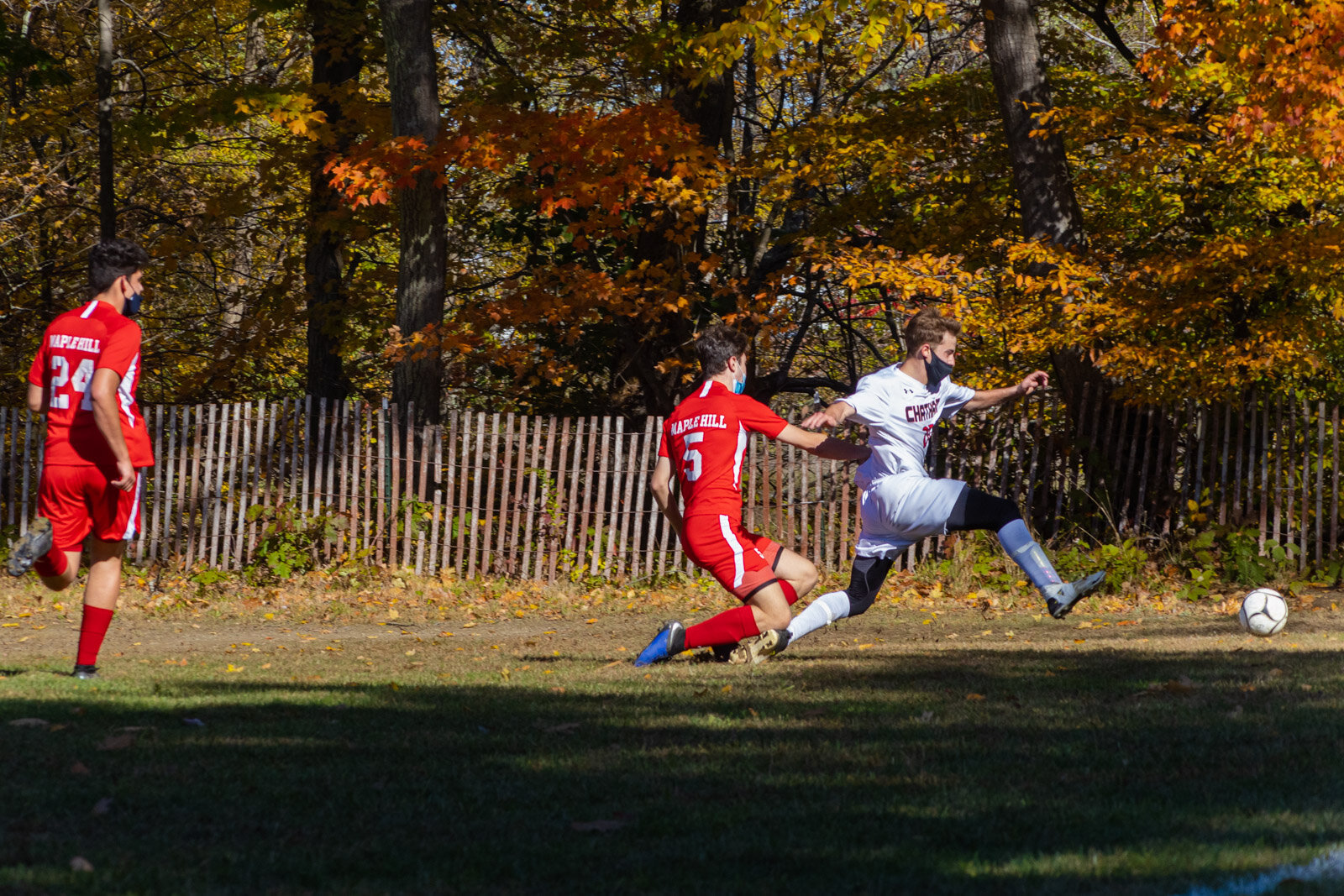20201017-3Q8A5671.jpg