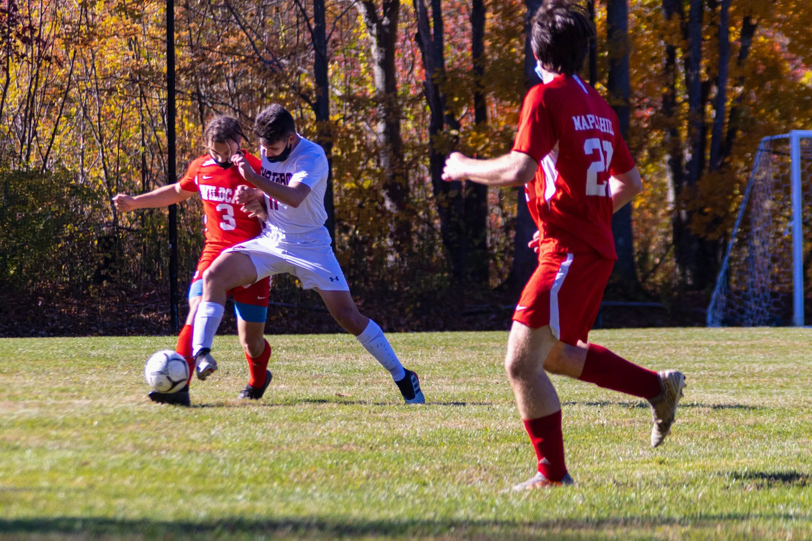 20201017-3Q8A5266.jpg