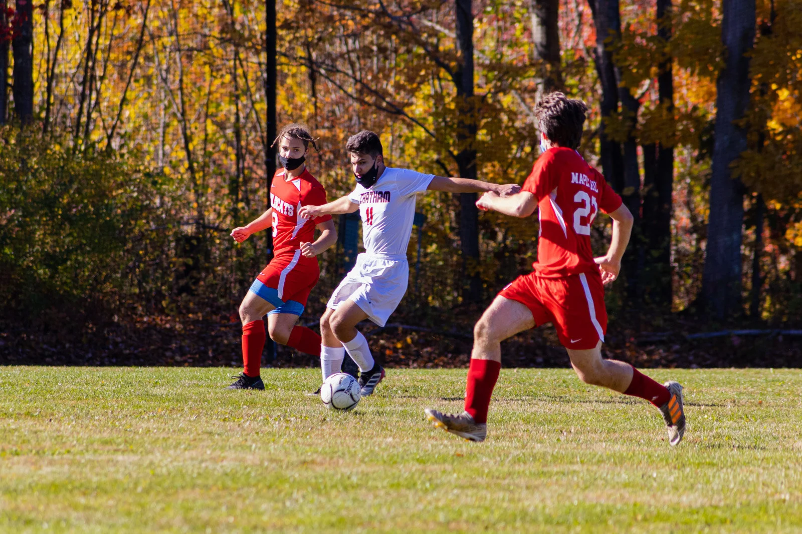 20201017-3Q8A5100.jpg