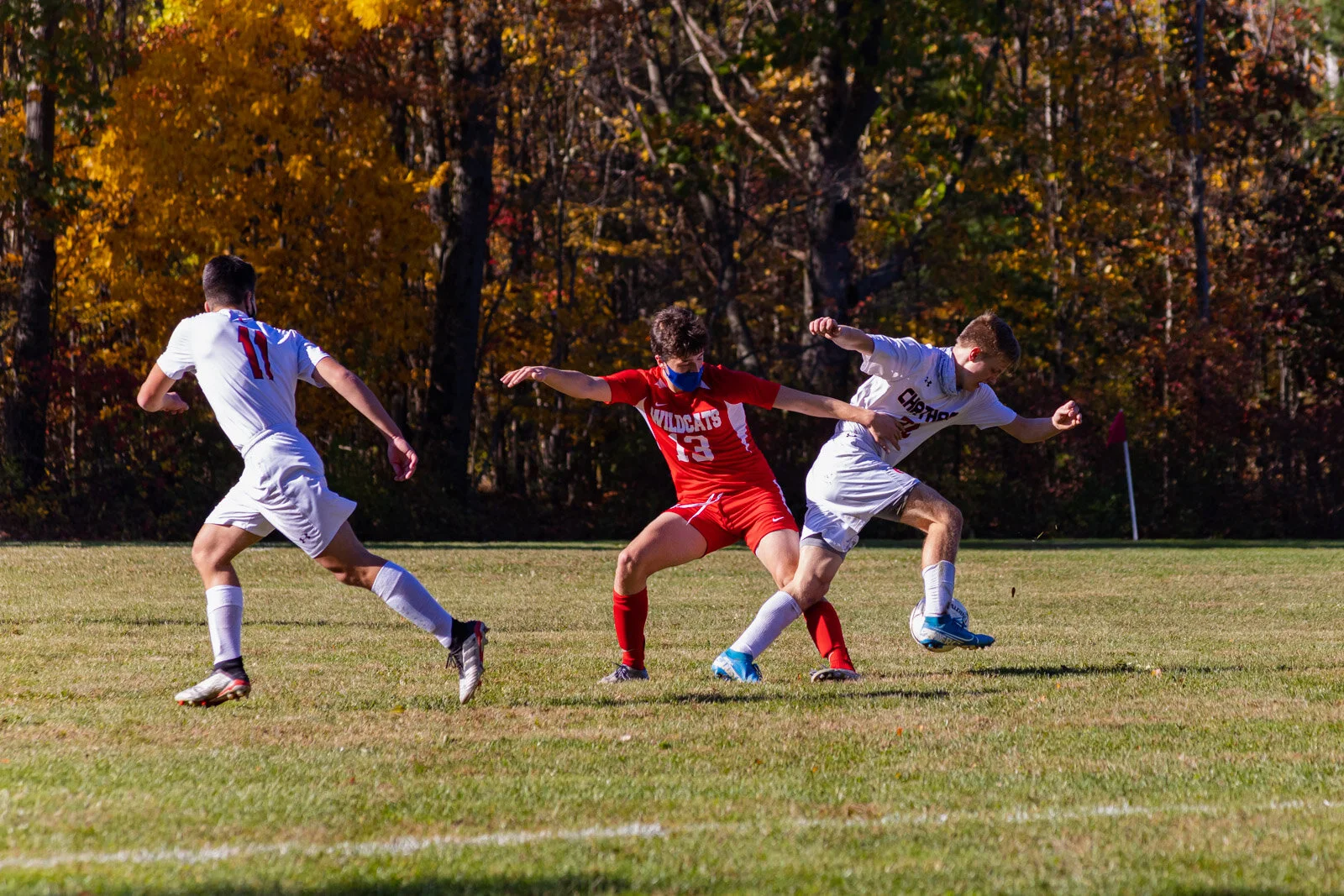 20201017-3Q8A4962.jpg