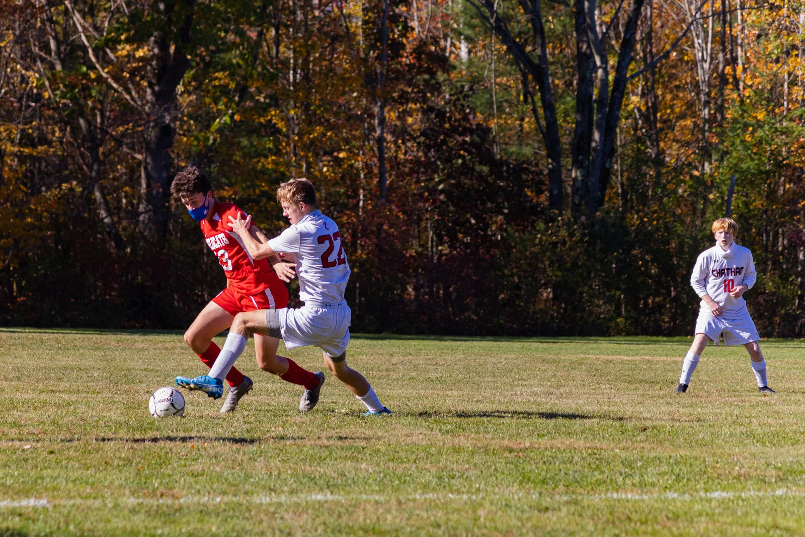 20201017-3Q8A4957.jpg