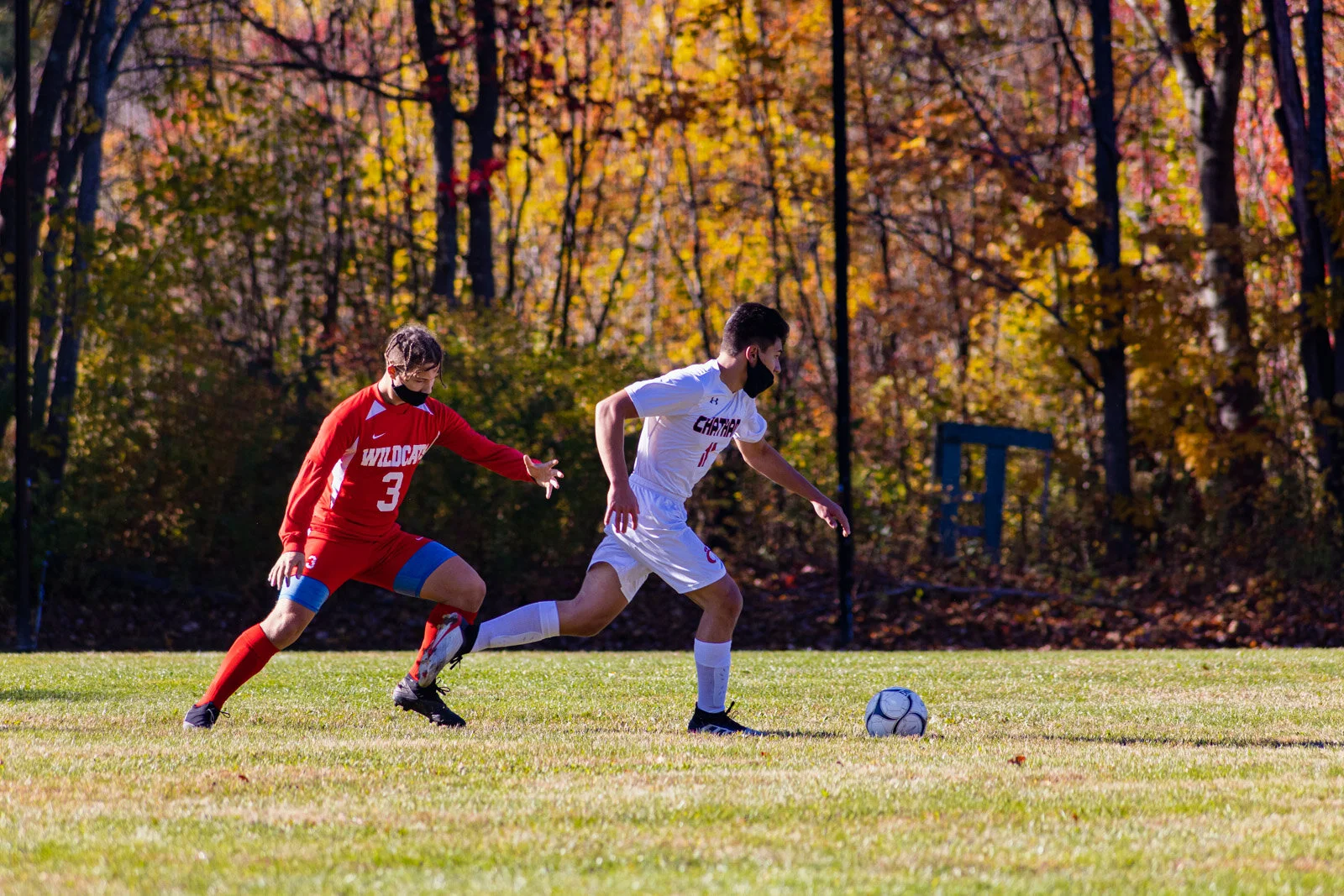 20201017-3Q8A4887.jpg