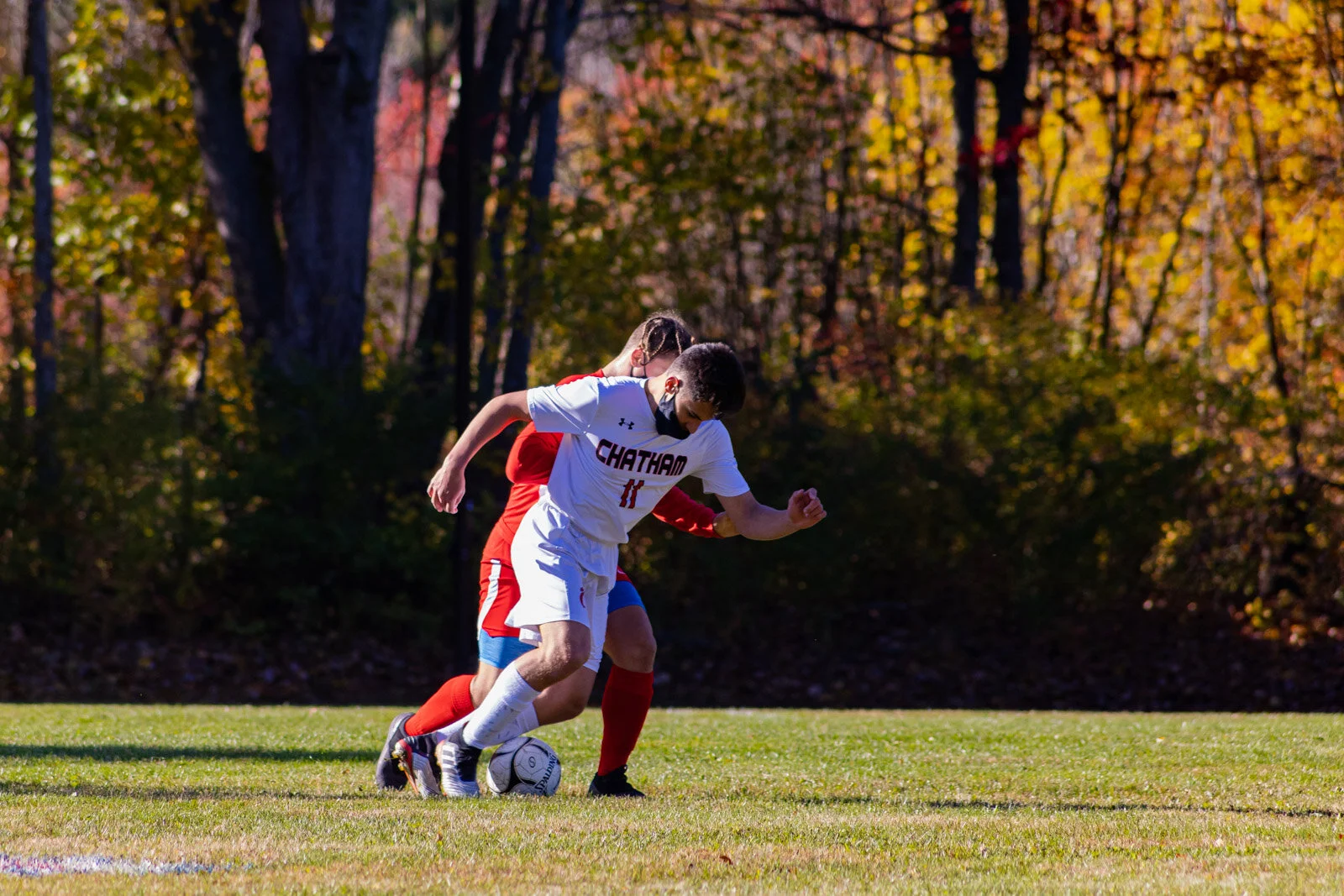 20201017-3Q8A4884.jpg